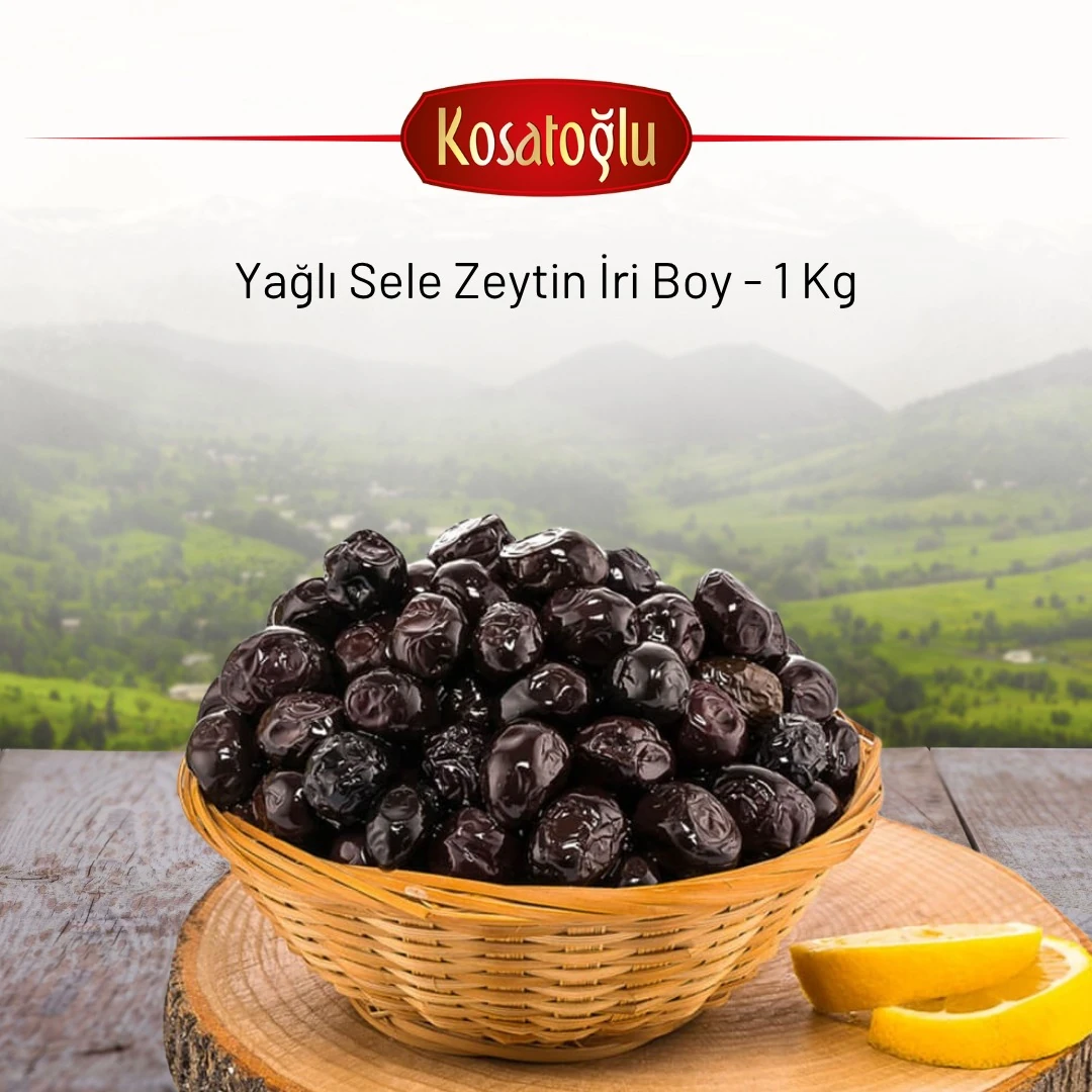 Yağlı Sele Zeytin  İri Boy - 1 Kg