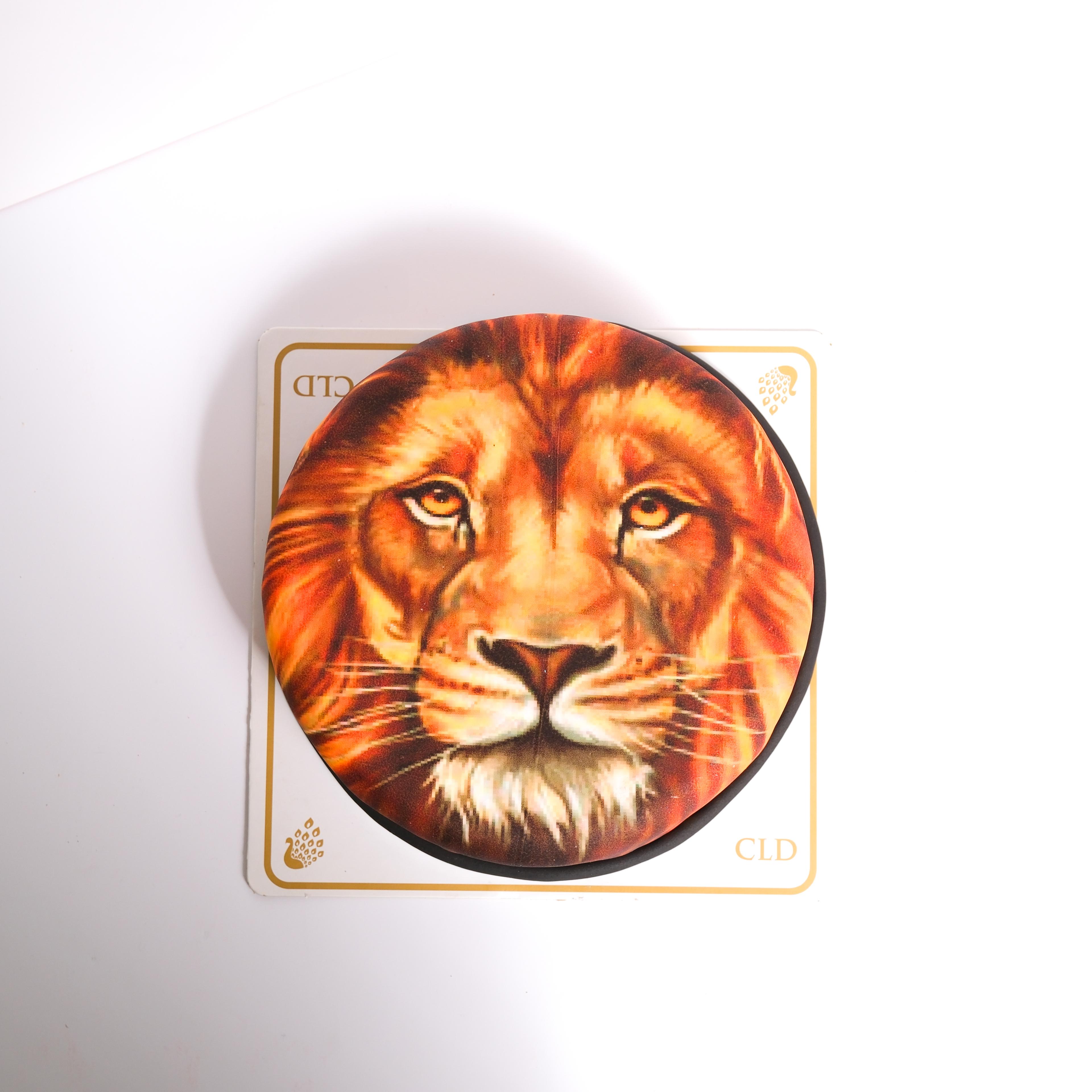 3D HD Pasta Aslan 