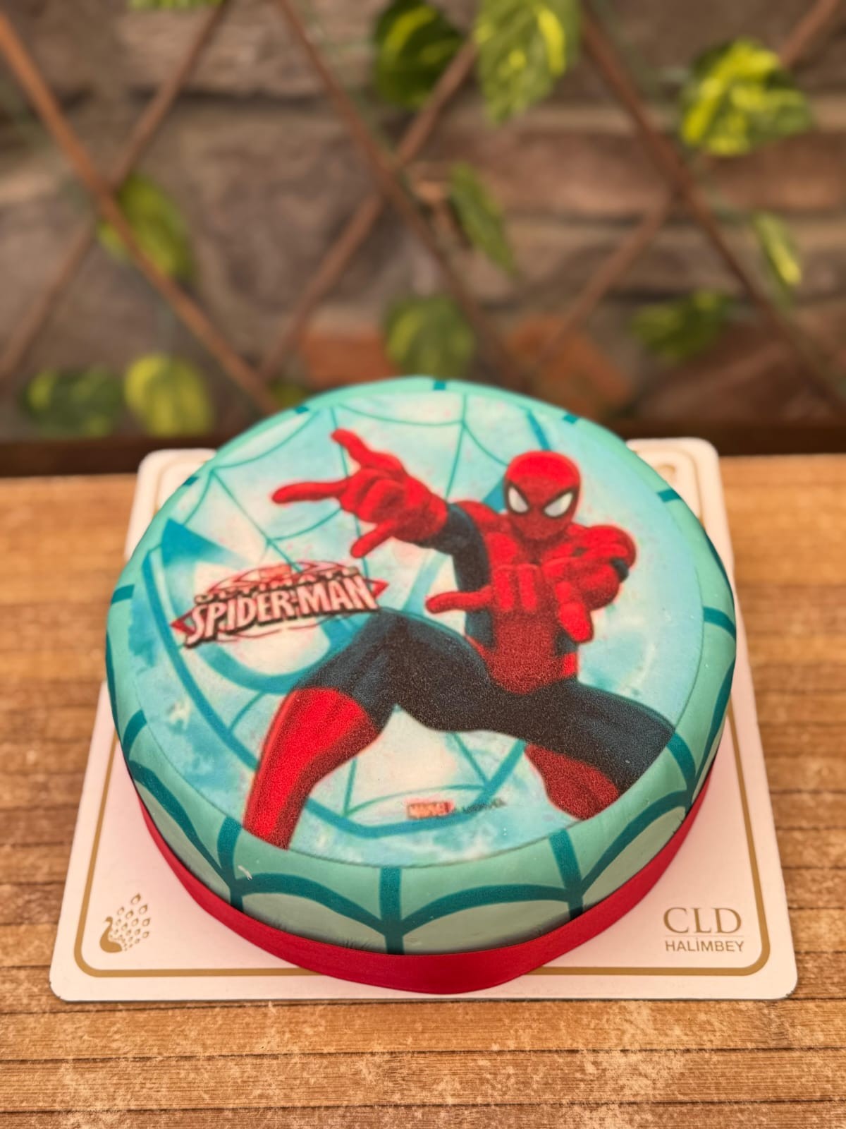 3D HD Pasta Spıderman