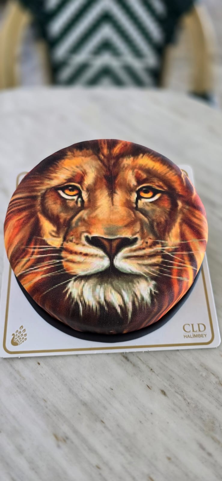 3D HD Pasta Aslan 