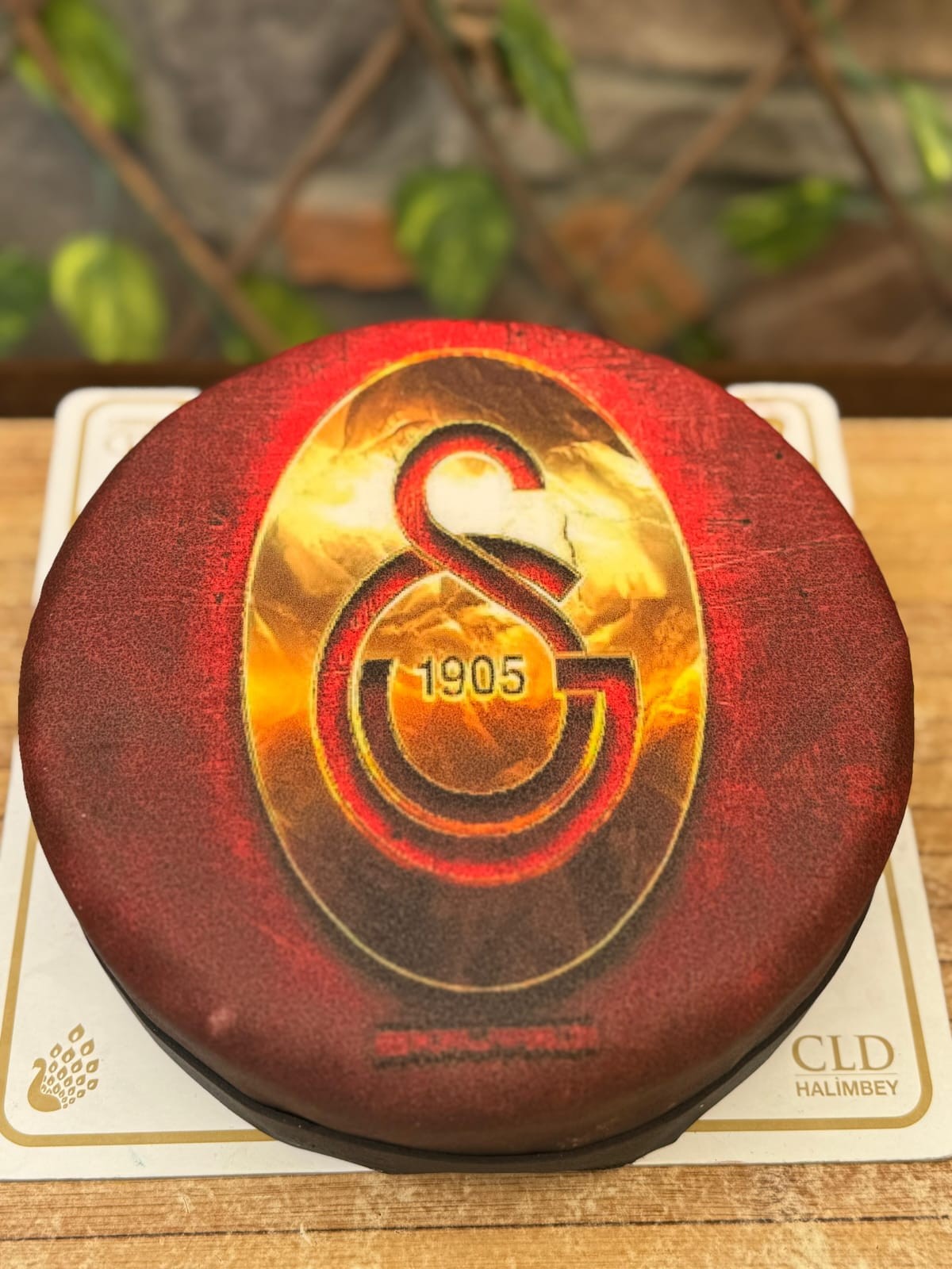 3D HD Pasta GS
