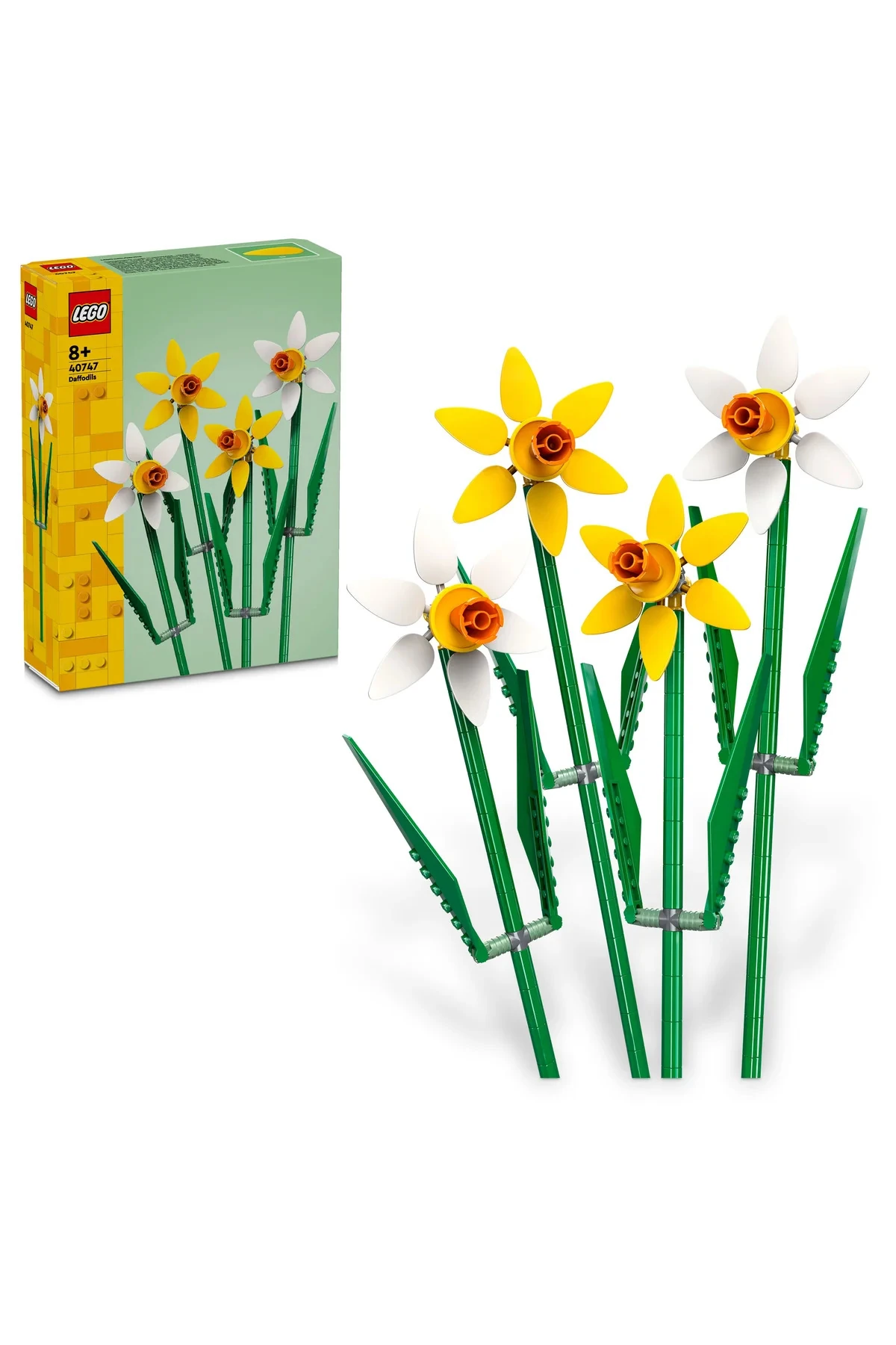 ® Botanicals Nergis 40747 - 8+ Dekoratif Çiçek Model Yapım Seti (216P)