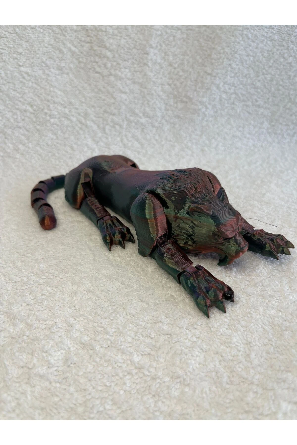 Nesli Tükenen Mafsallı Sabertooth Kedi çok renkli