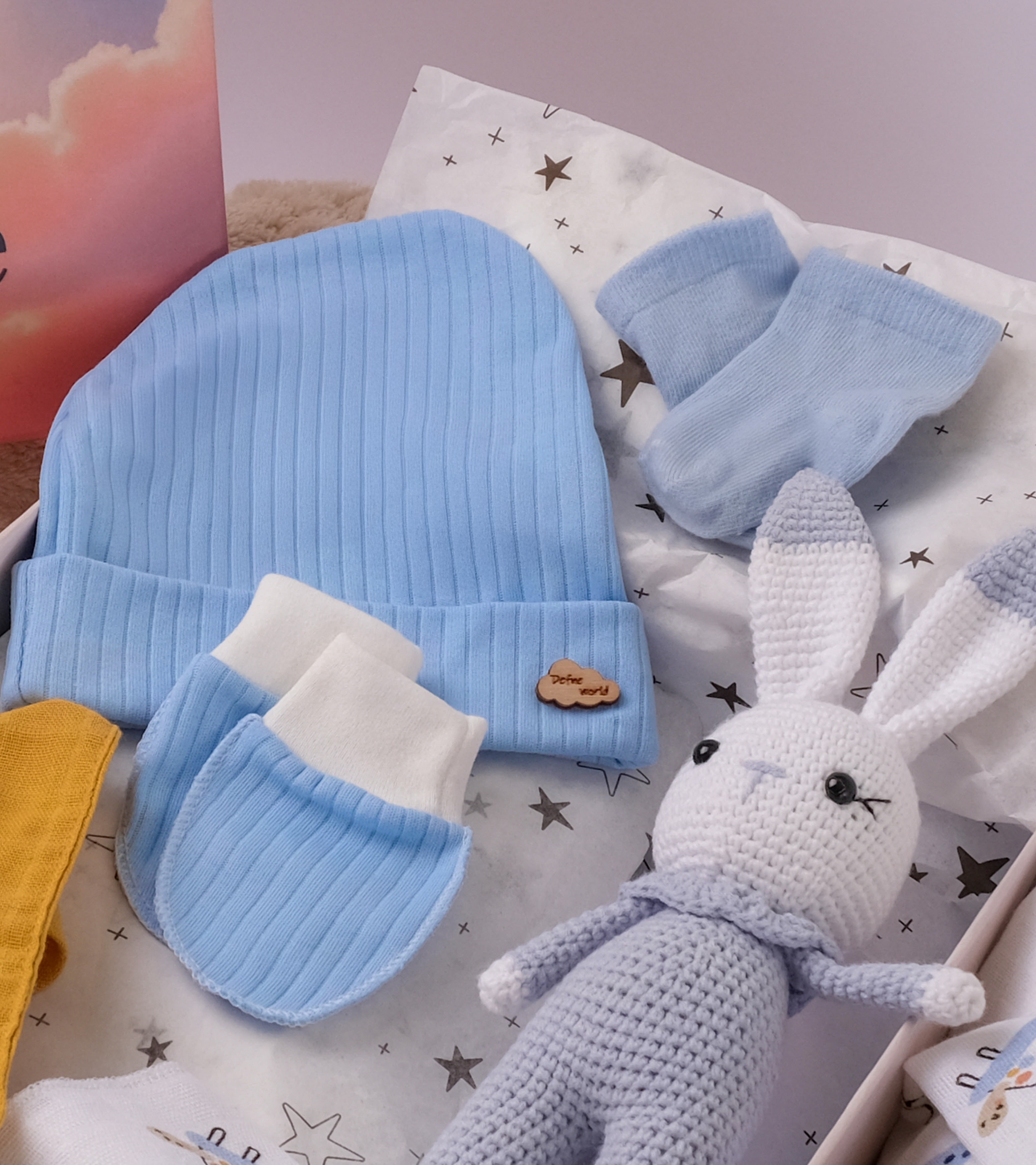 Leo Yenidoğan Erkek Bebek Hediye Kutusu