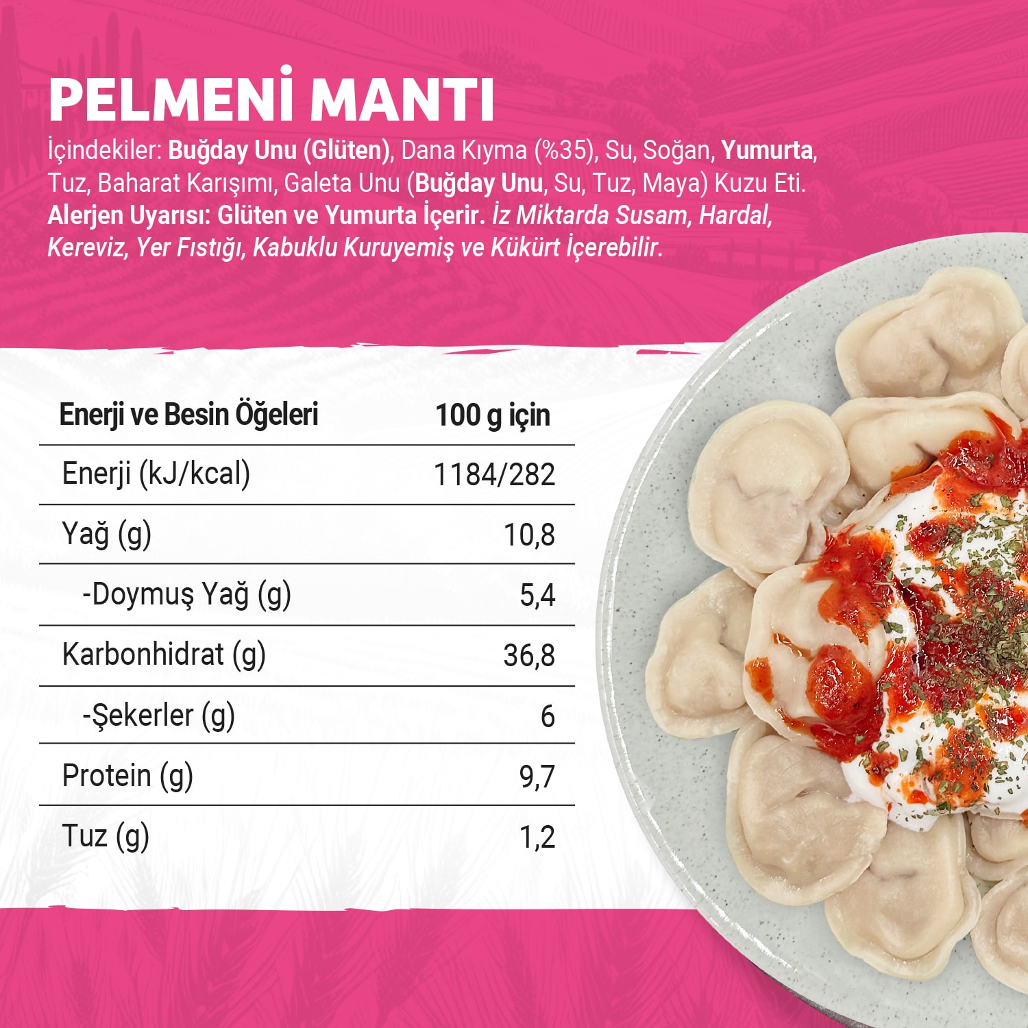 Pelmeni Mantı