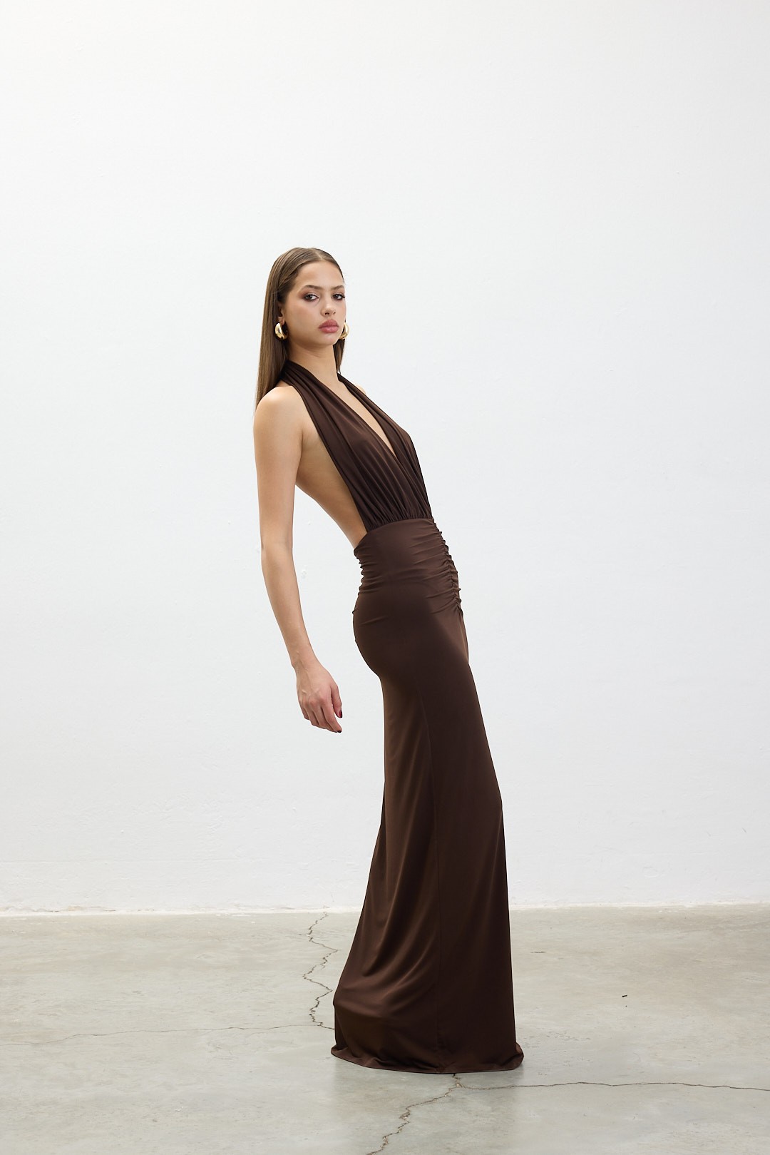 Roma Brown Dress