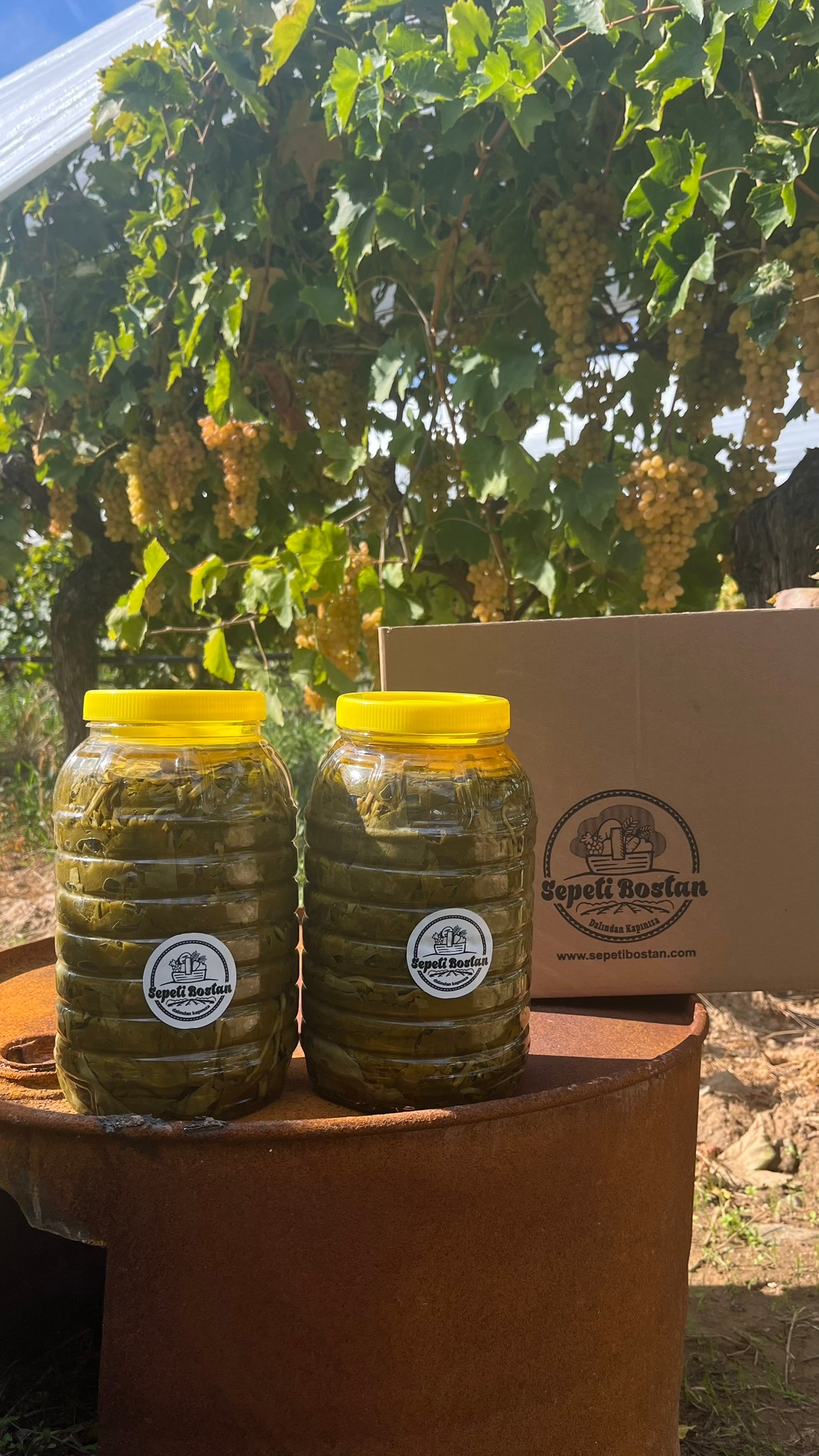 Kampanyalı Alaşehir Salamura Yaprak 3 Kg - 2 adet