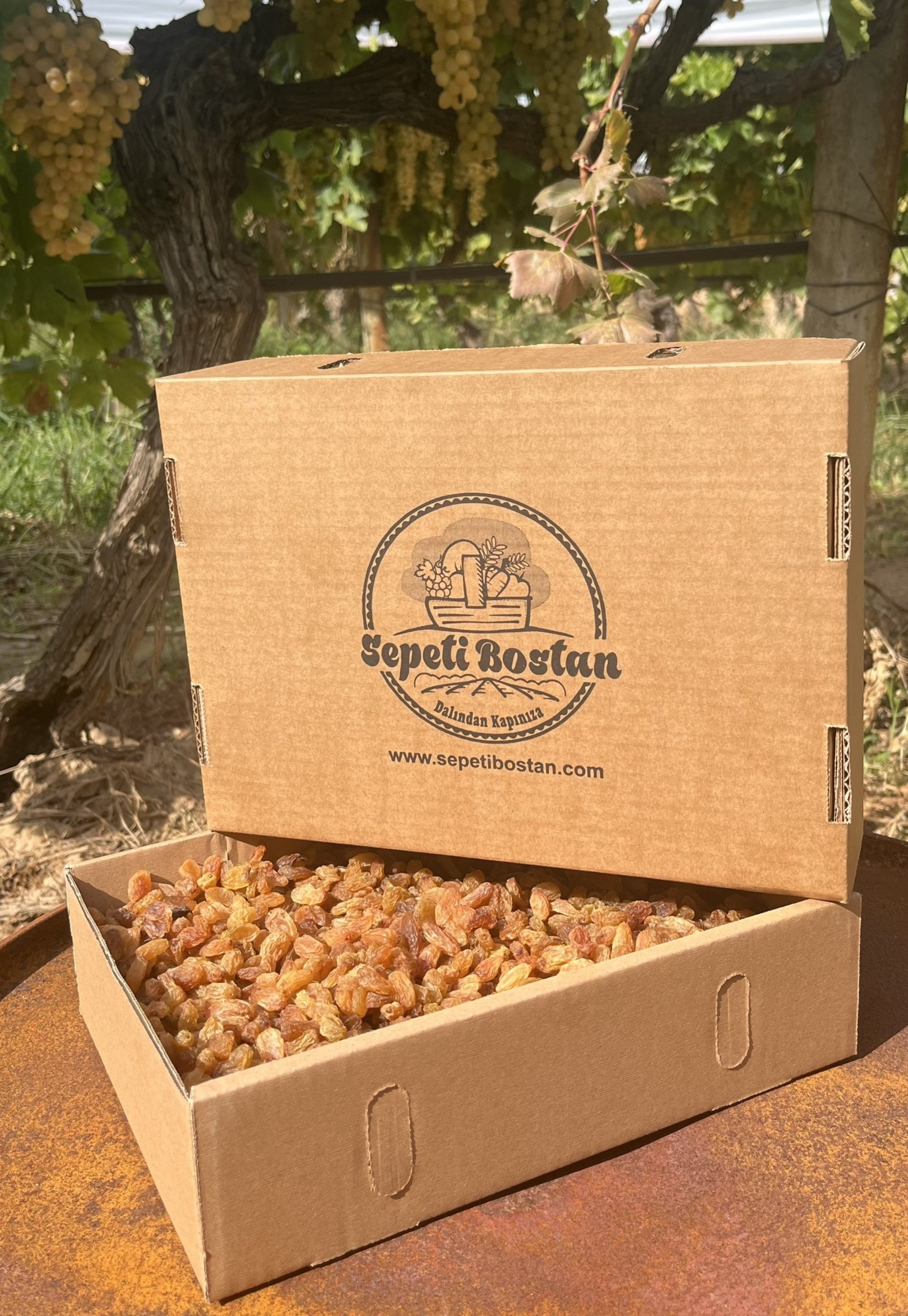 Çekirdeksiz Kuru Üzüm 2 Kg - Özel Kutu