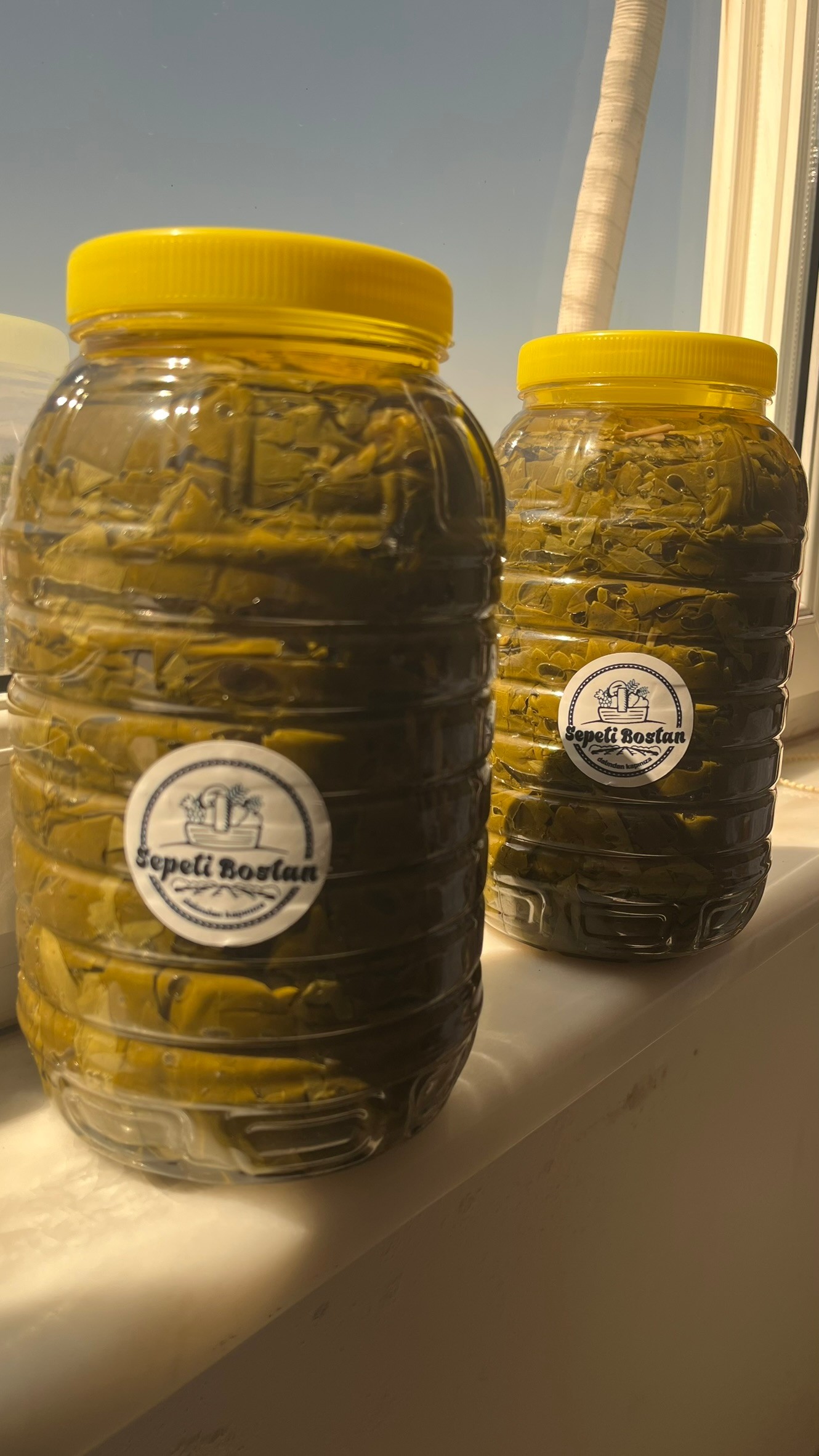 Alaşehir Salamura Yaprak 3 Kg