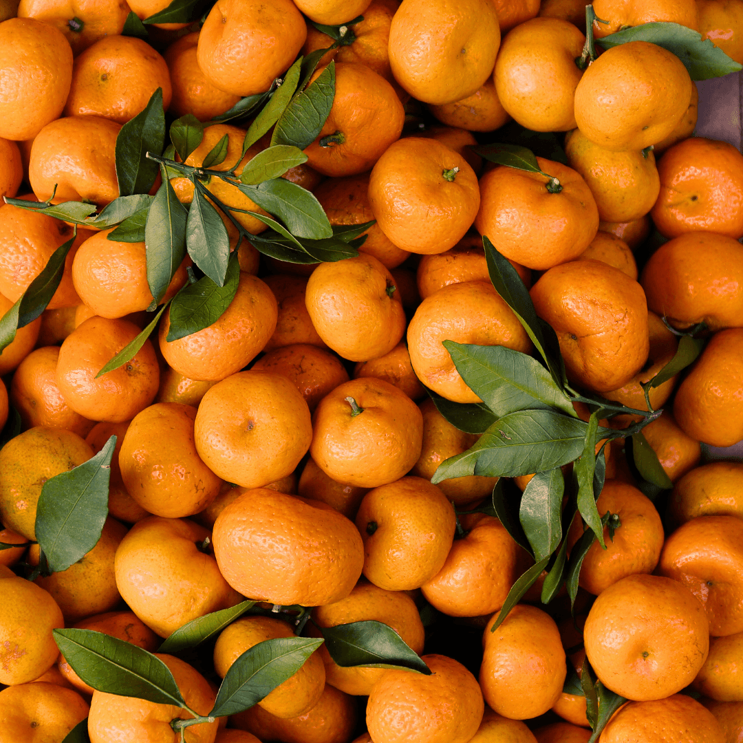 Gümüldür Satsuma Taze Mandalina 5 Kg 