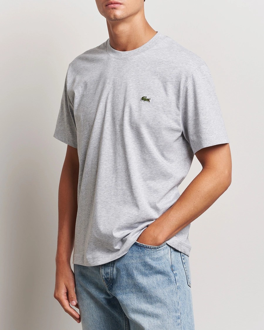 Erkek Standart Fit Basic Bisiklet Yaka Gri T-Shirt