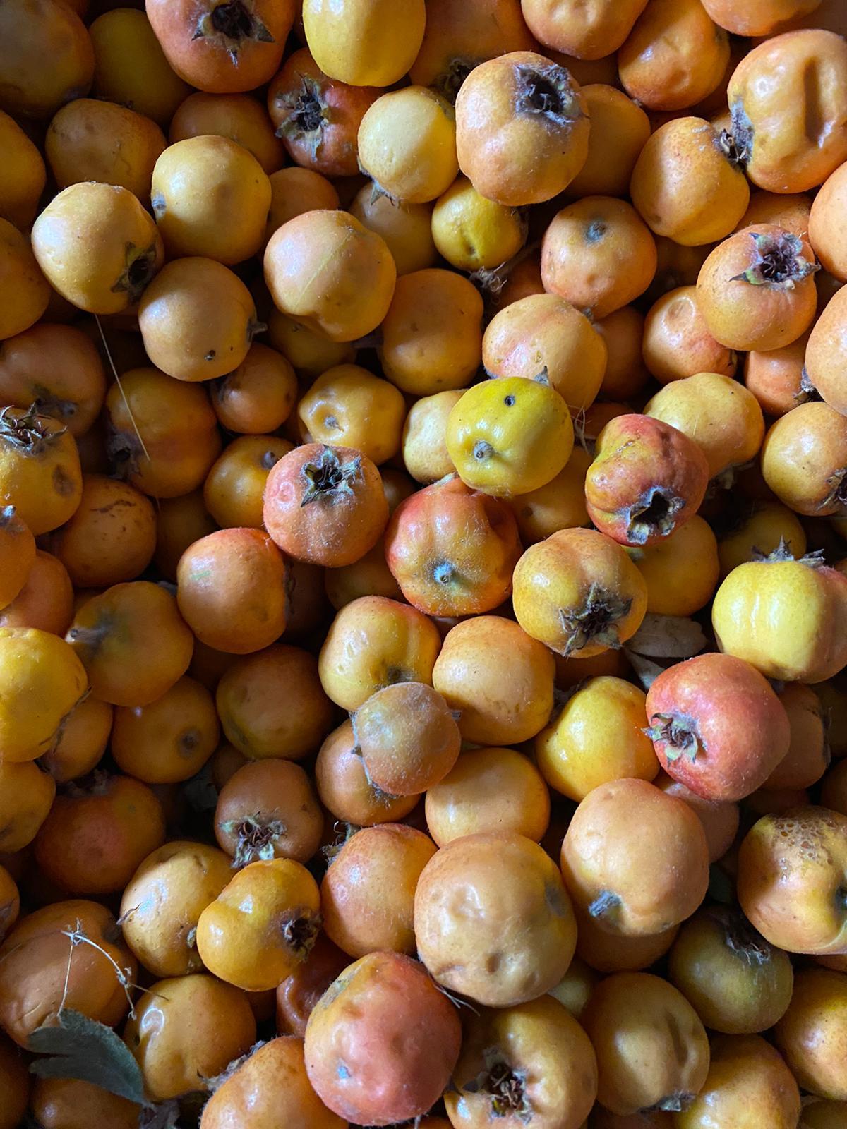 Taze Alıç Meyvesi 1 kg