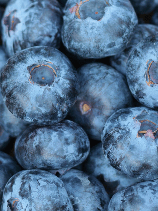 Taze Premium Boy Yaban Mersini (Blueberry)