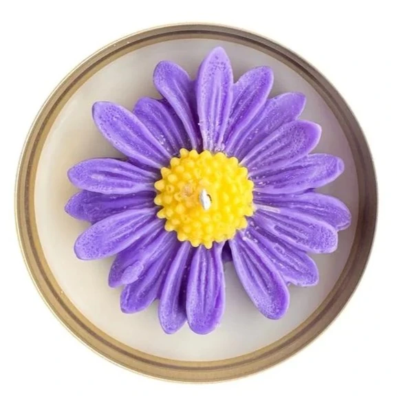 Papatya Mum - Mor (Lavanta Kokulu)