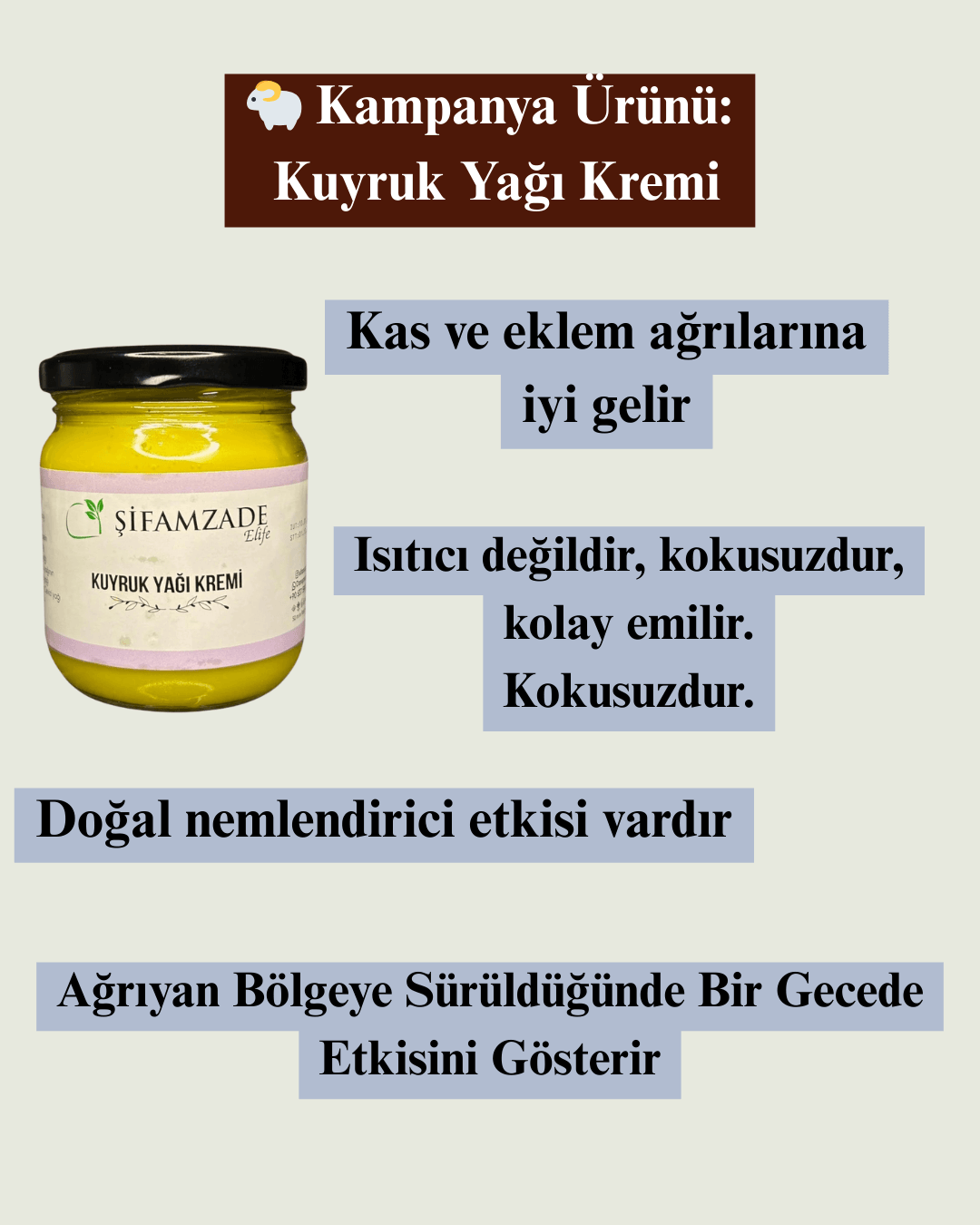 Kuyruk Yağı 210cc