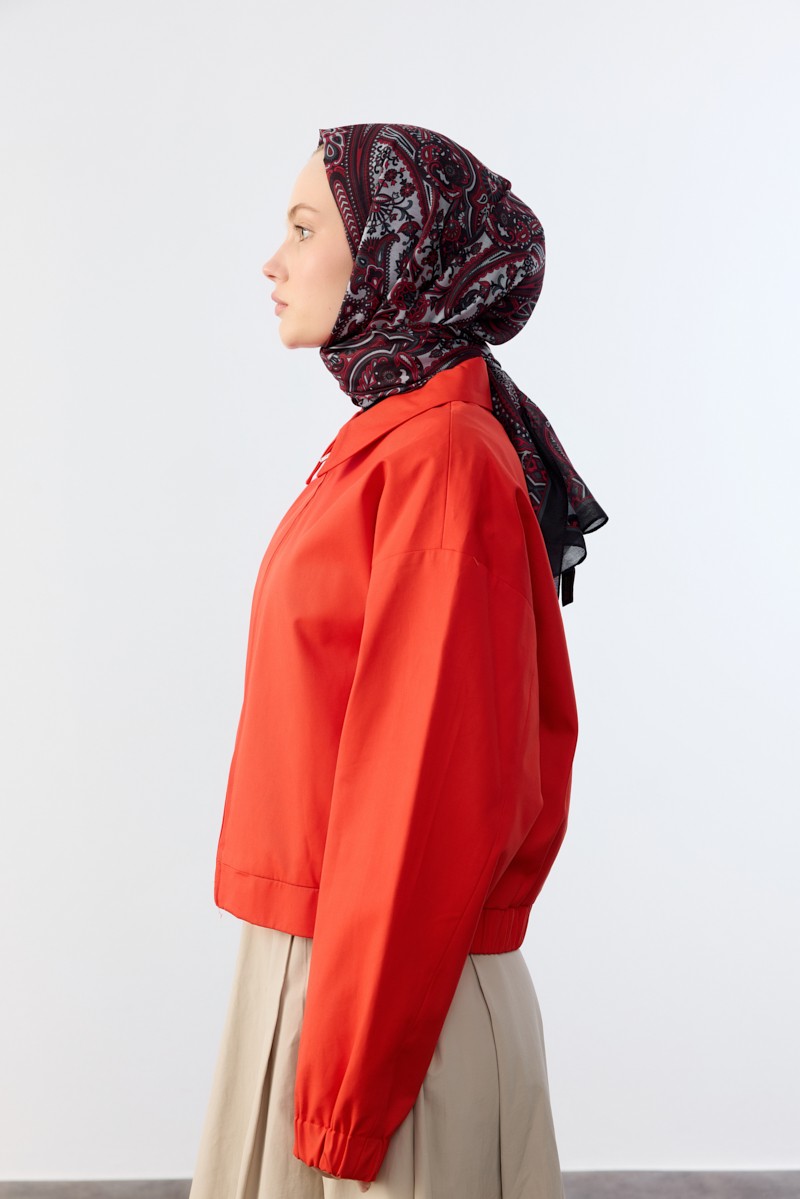 Mina Desen - Nar