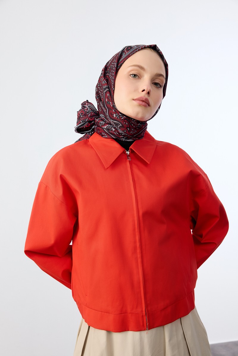 Mina Desen - Nar