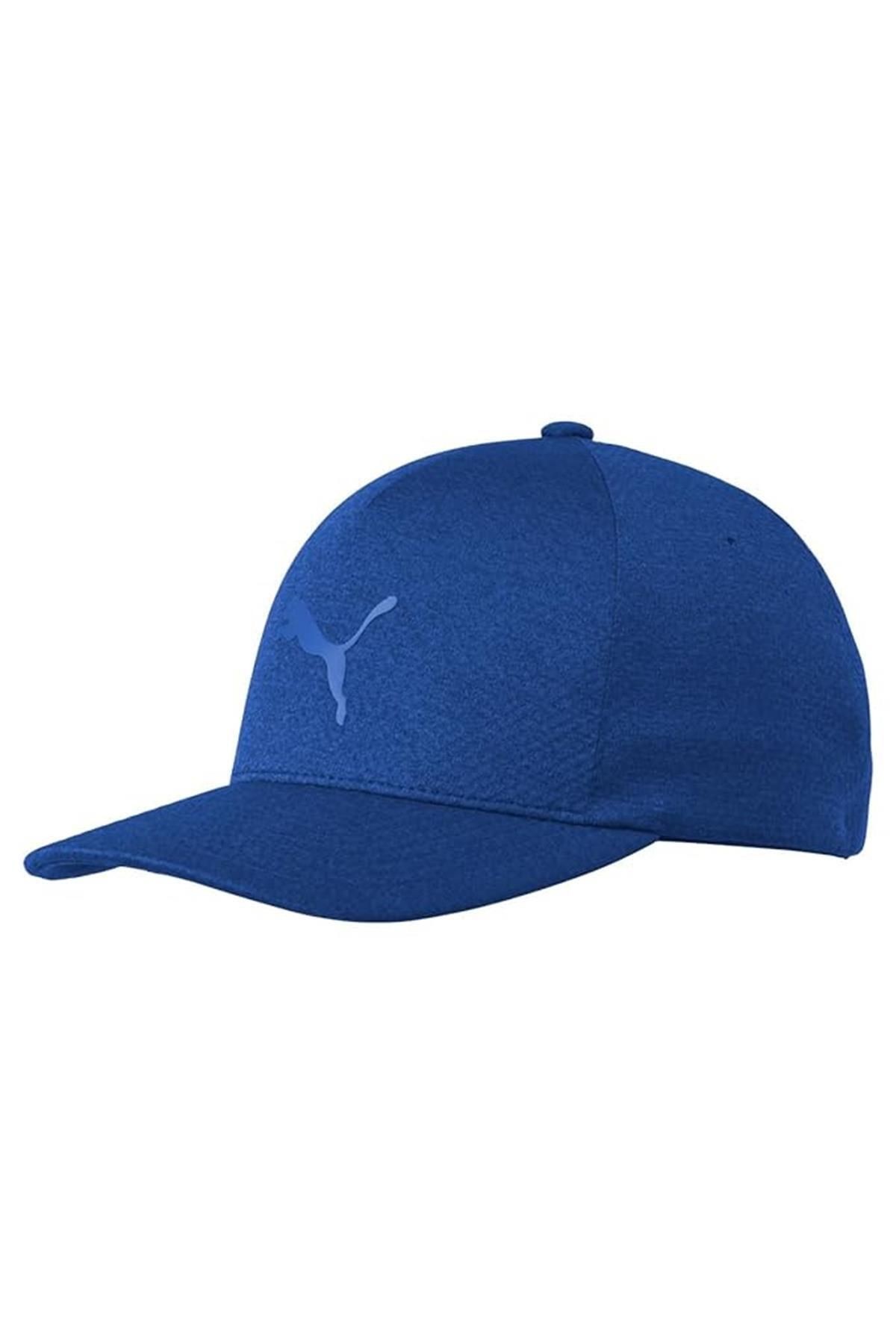 Puma Mens Evo Kit Delta Erkek Flexfit Lacivert Şapka