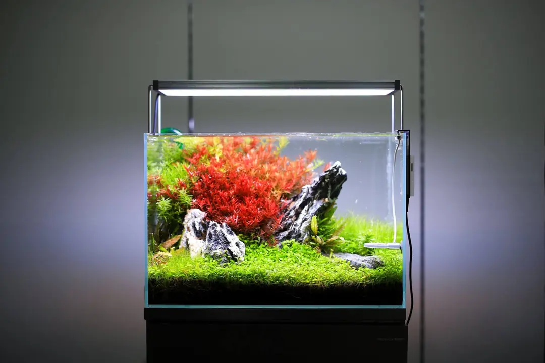 Twinstar Light 600EA 40w /60-70cm Led Aydınlatma Armatürü