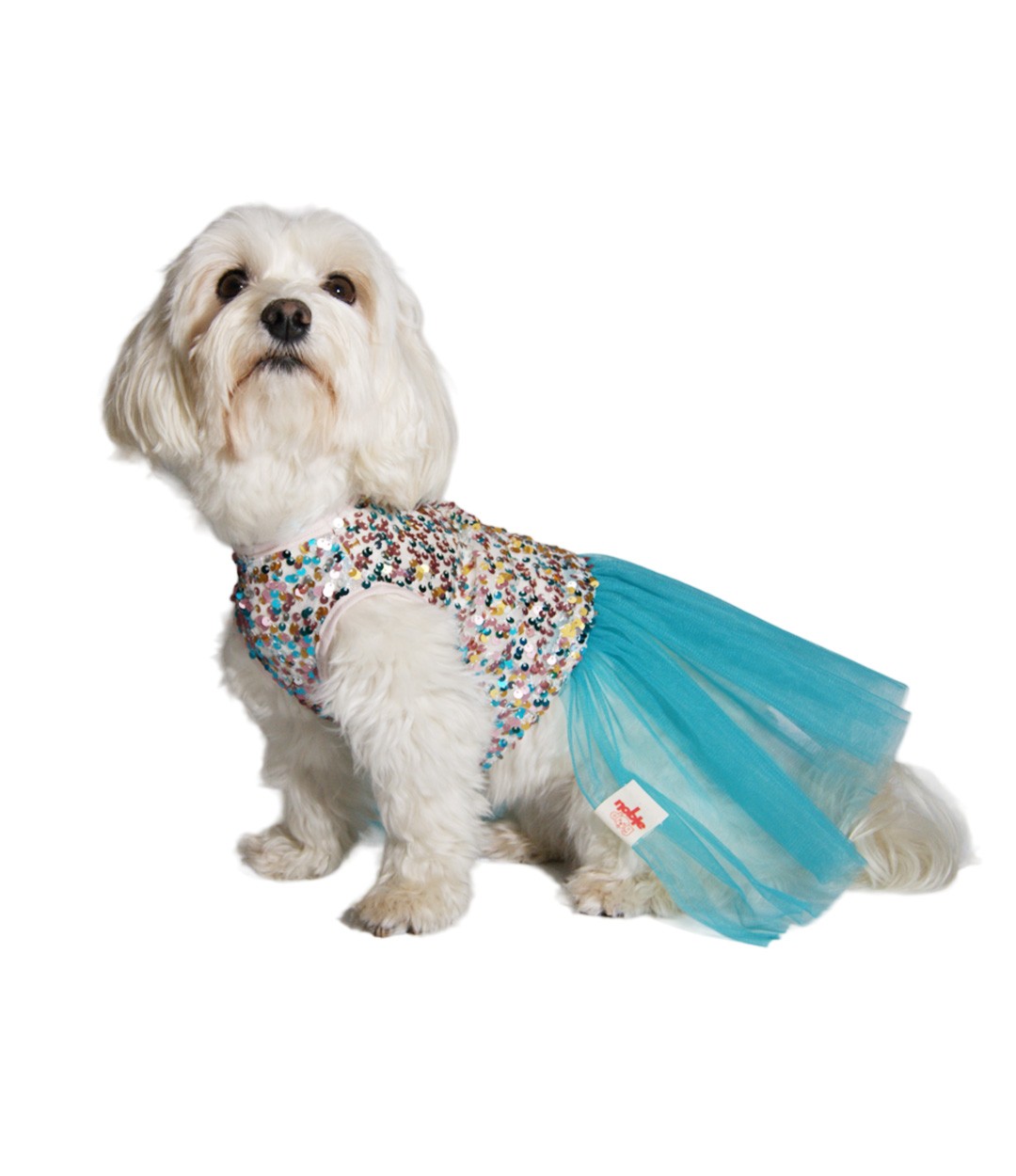 Transparan Payetli Tütülü Köpek Elbise