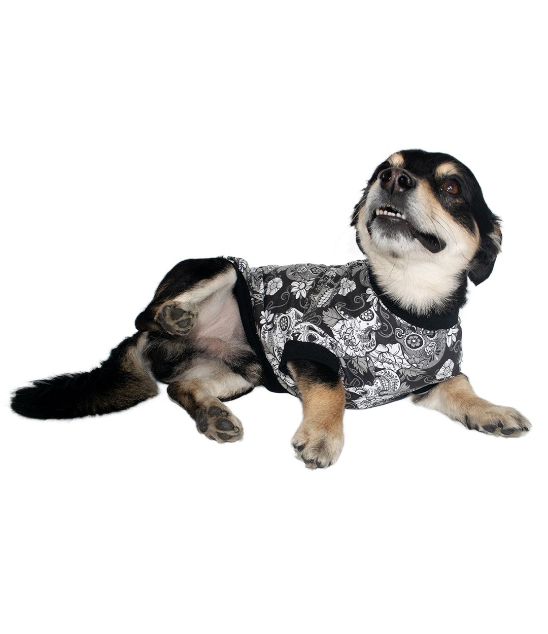 Kuru Kafa Desenli Penye Kumaş Köpek T-Shirt