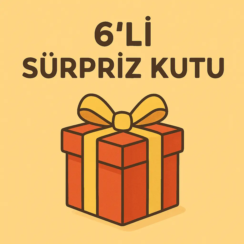 6'LU SÜRPRİZ KILIF KUTUSU