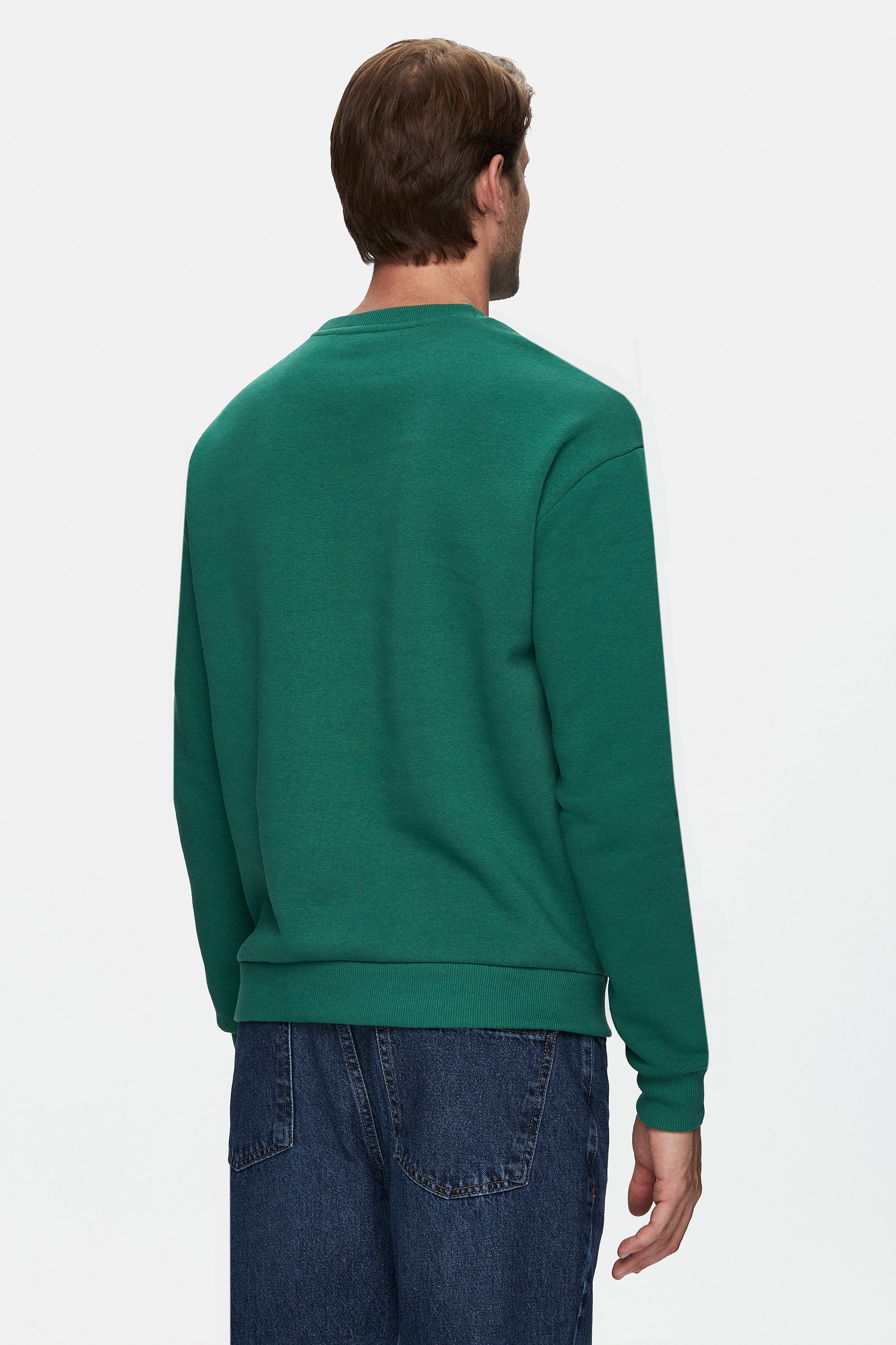 SANDHILL Yeşil Bisiklet Yaka Nakışlı Şardonlu Loose Fit Erkek Sweatshirt