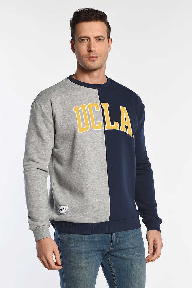 REDDLEY Lacivert Bisiklet Yaka Aplikeli Şardonlu Standard Fit Erkek Sweatshirt