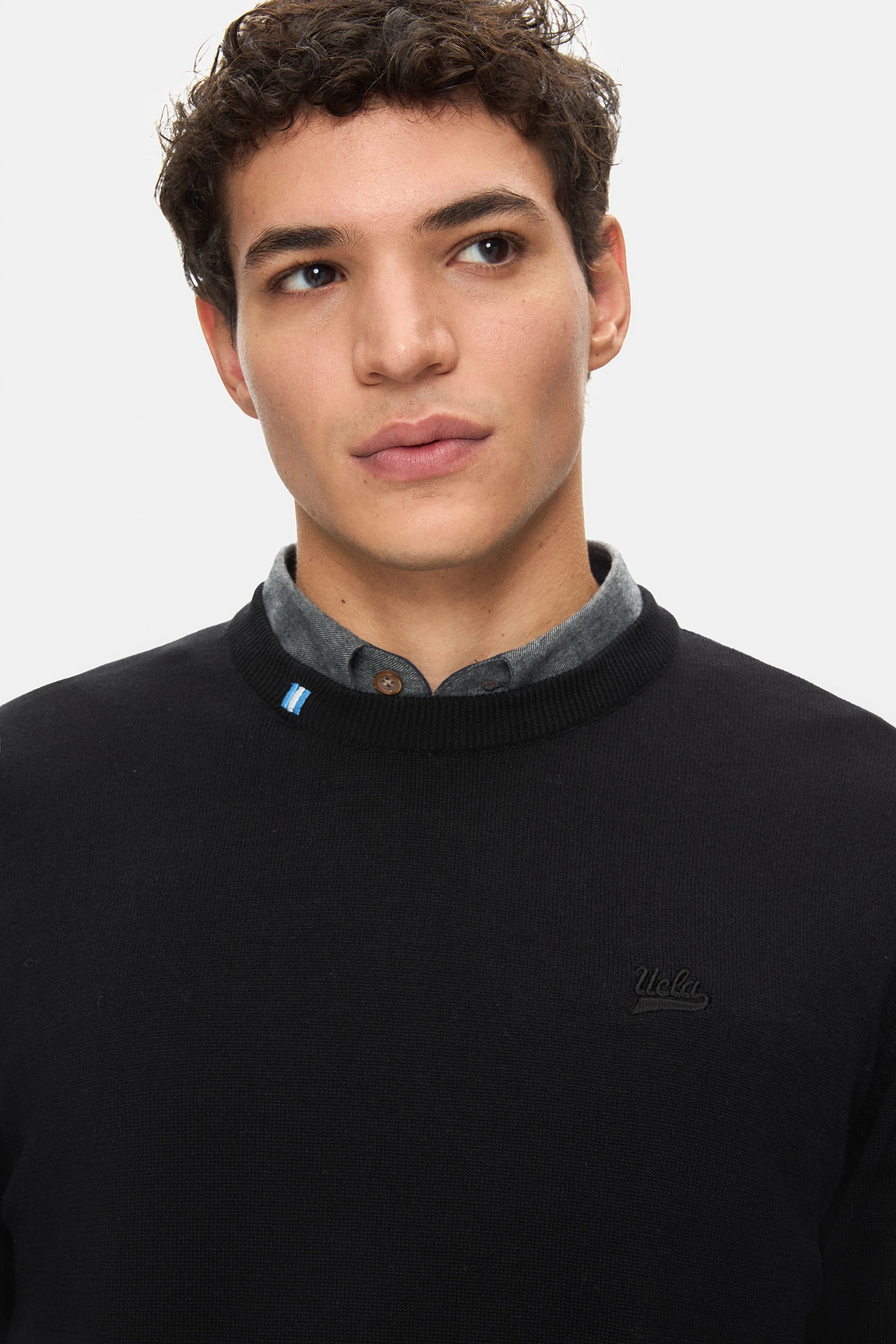 SENTO Siyah Bisiklet Yaka Nakışlı Standard Fit Erkek Triko