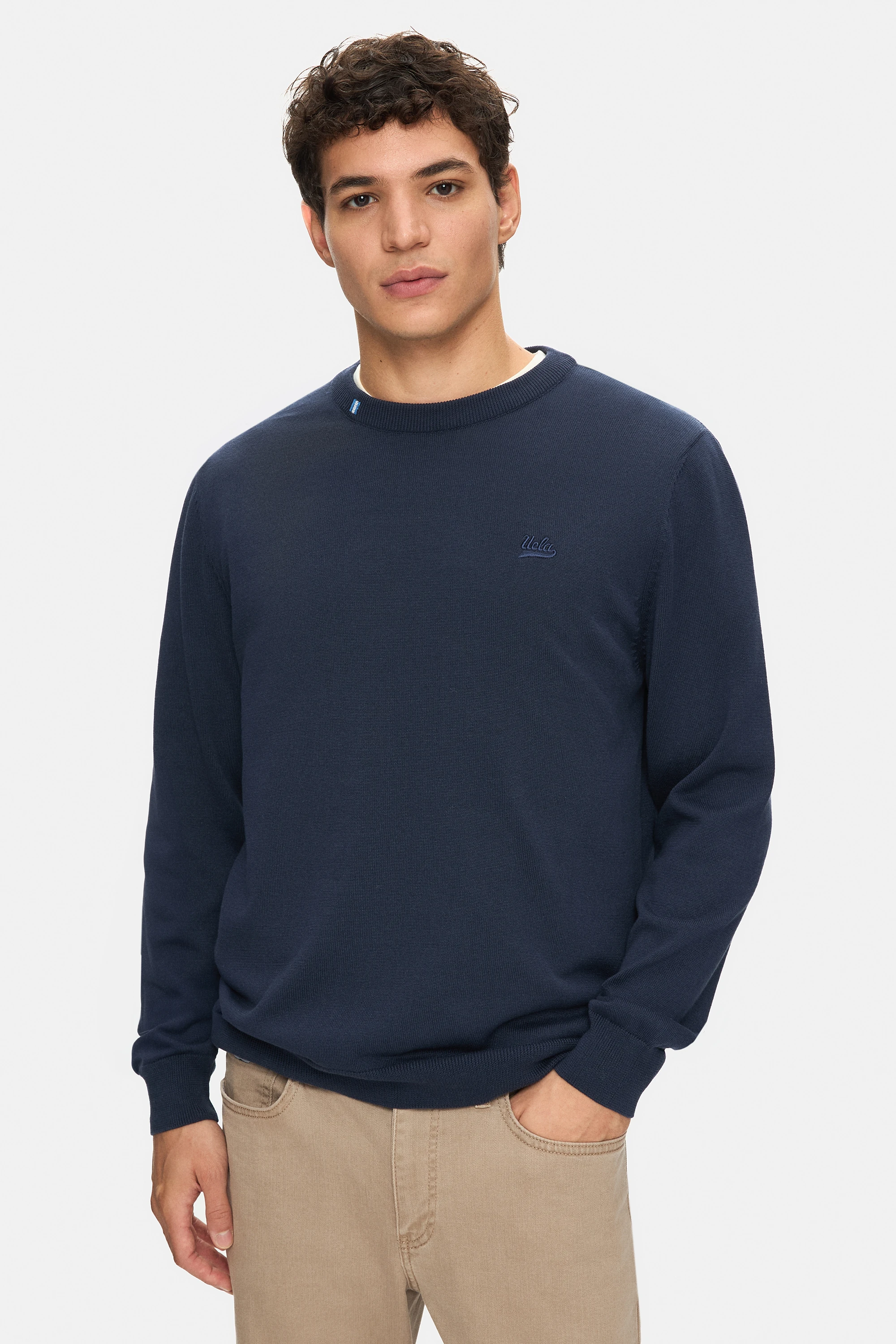 SENTO Lacivert Bisiklet Yaka Nakışlı Standard Fit Erkek Triko