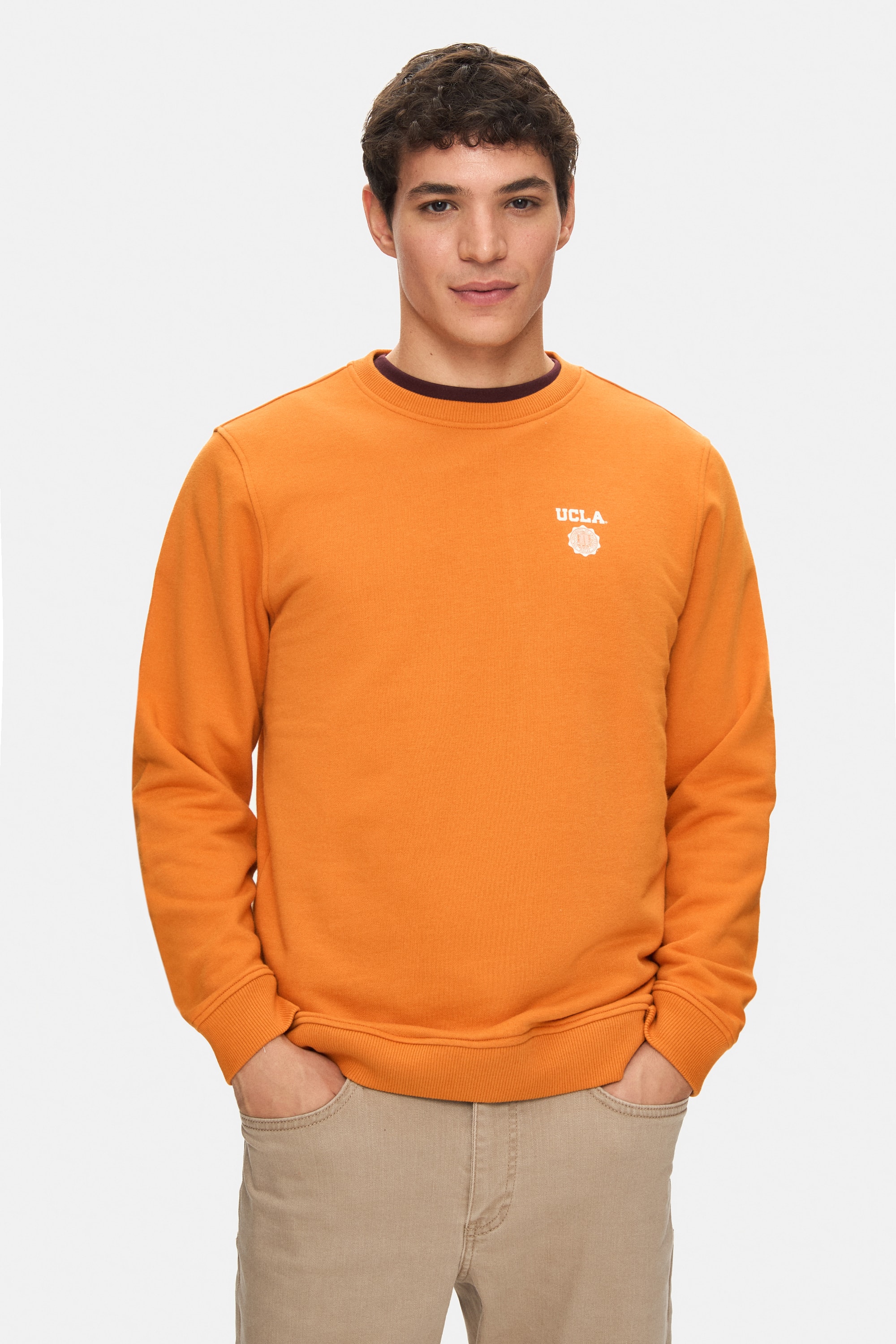 VALLEY Turuncu Bisiklet Yaka Baskılı Standard Fit Erkek Sweatshirt