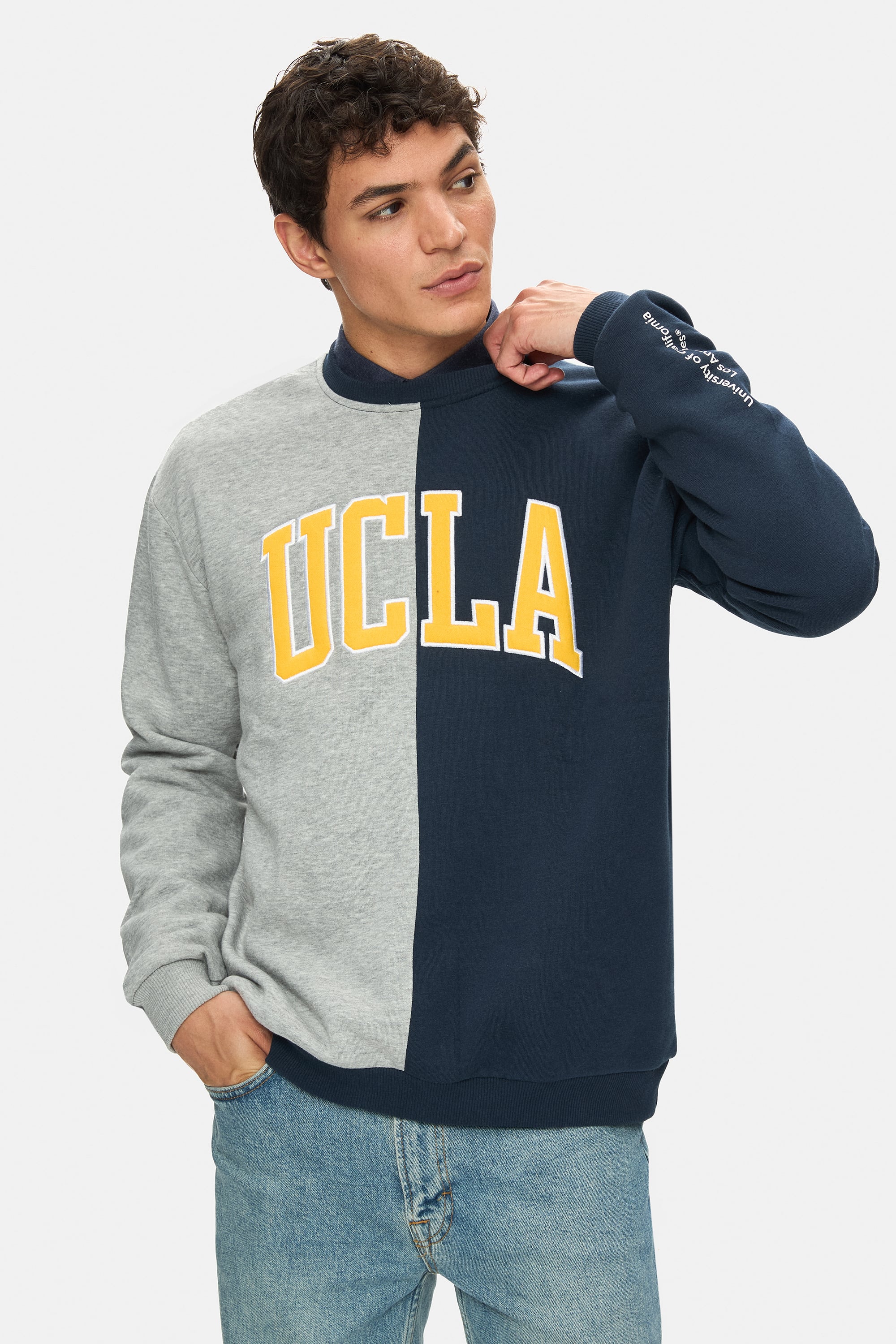 REDDLEY Lacivert Bisiklet Yaka Aplikeli Şardonlu Standard Fit Erkek Sweatshirt