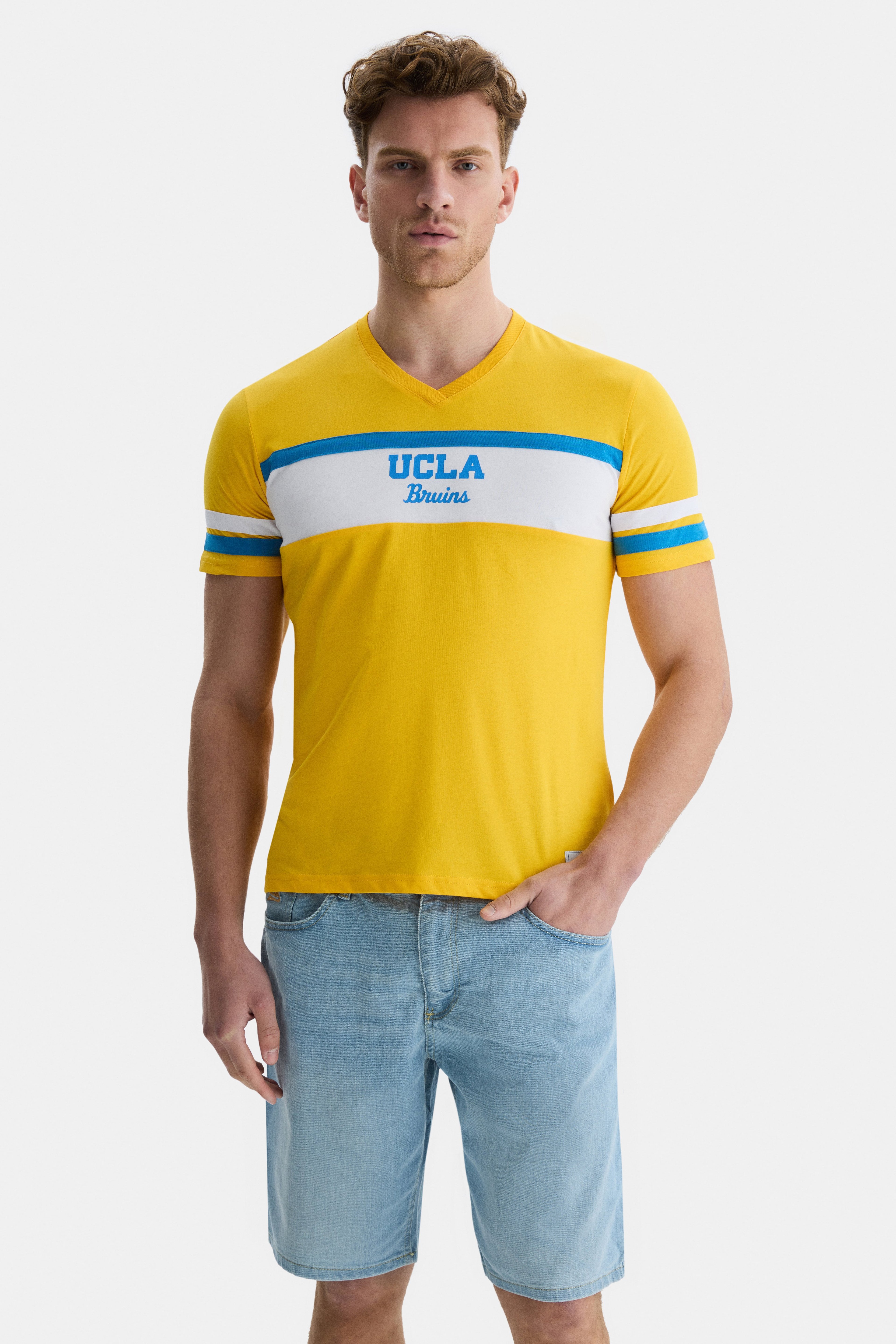 DUSTIN Sarı V  yaka baskılı Standard Fit Erkek Tshirt