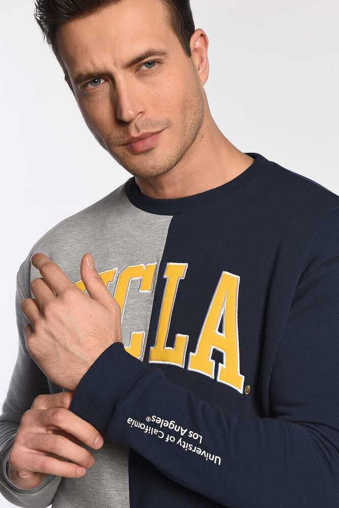 REDDLEY Lacivert Bisiklet Yaka Aplikeli Şardonlu Standard Fit Erkek Sweatshirt