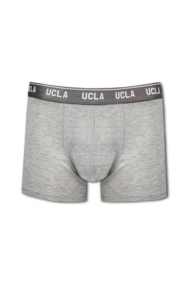 IRVINE Gri Bel Bantlı Jakarlı Standard Fit Erkek Boxer