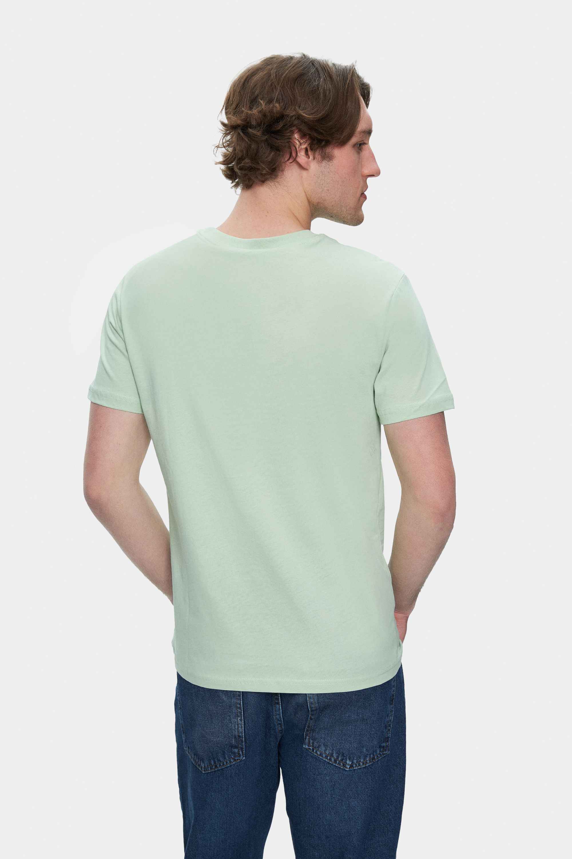 BASS Duman Yeşili Bisiklet Yaka Baskılı Standard Fit Erkek Tshirt