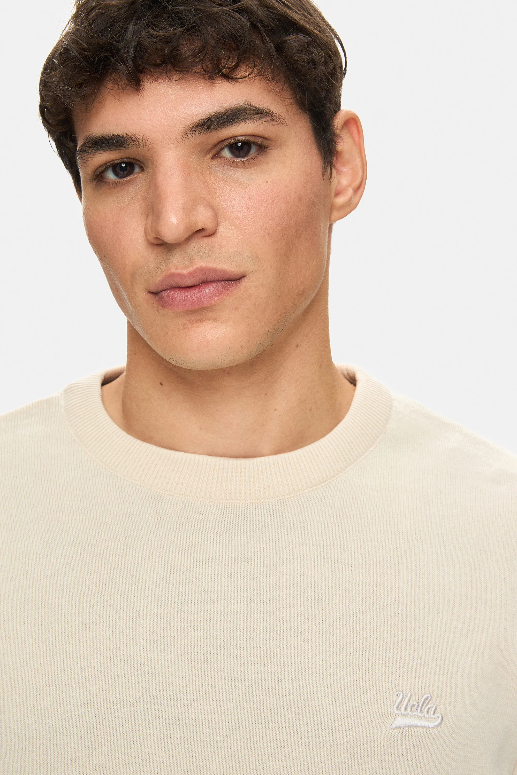 SENTO Kemik Rengi Bisiklet Yaka Nakışlı Standard Fit Erkek Triko