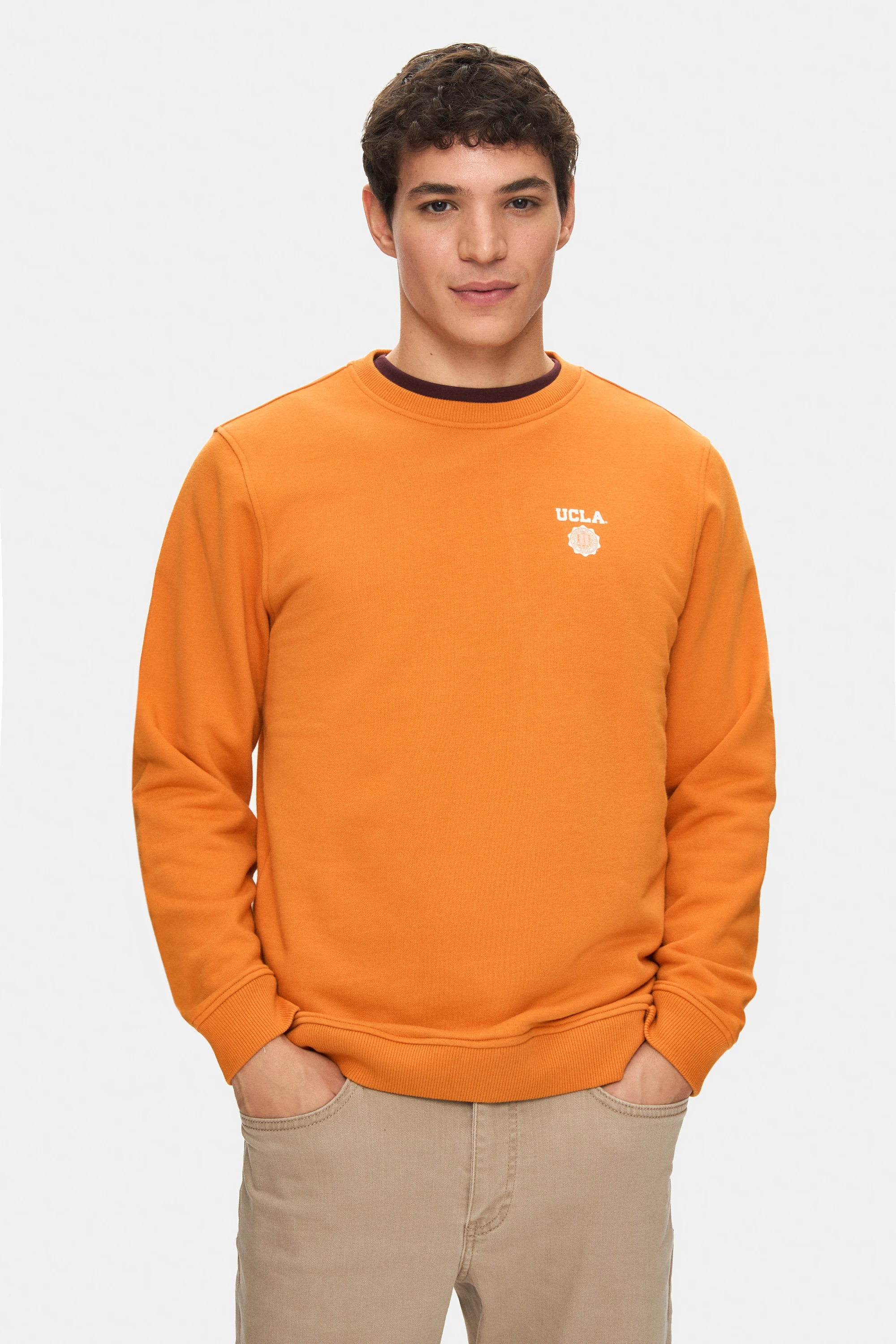VALLEY Turuncu Bisiklet Yaka Baskılı Standard Fit Erkek Sweatshirt