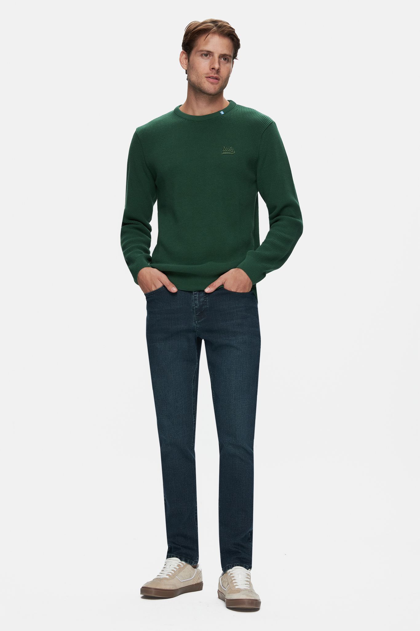 EMORY Yeşil Bisiklet Yaka Nakışlı Standard Fit Erkek Triko