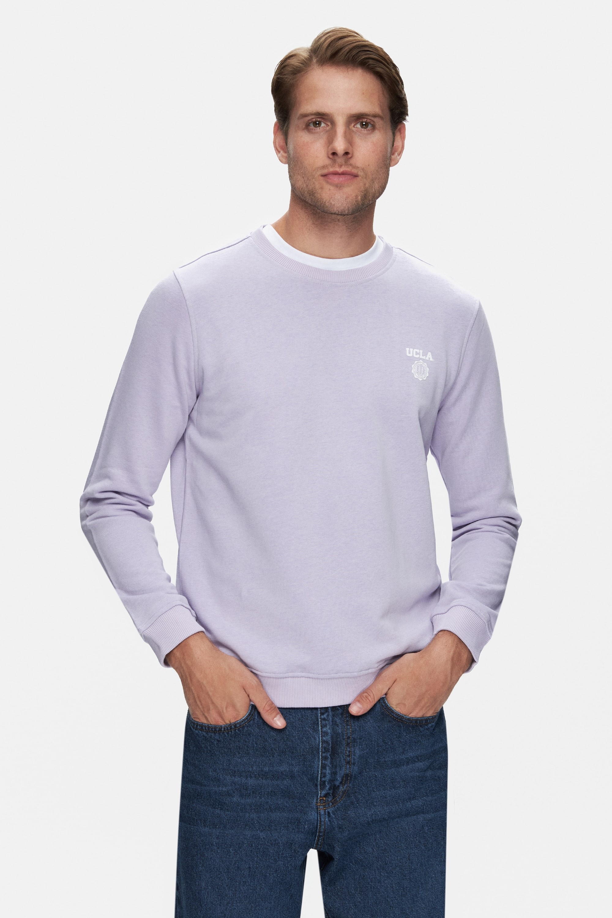 VALLEY Lila Bisiklet Yaka Baskılı Standard Fit Erkek Sweatshirt