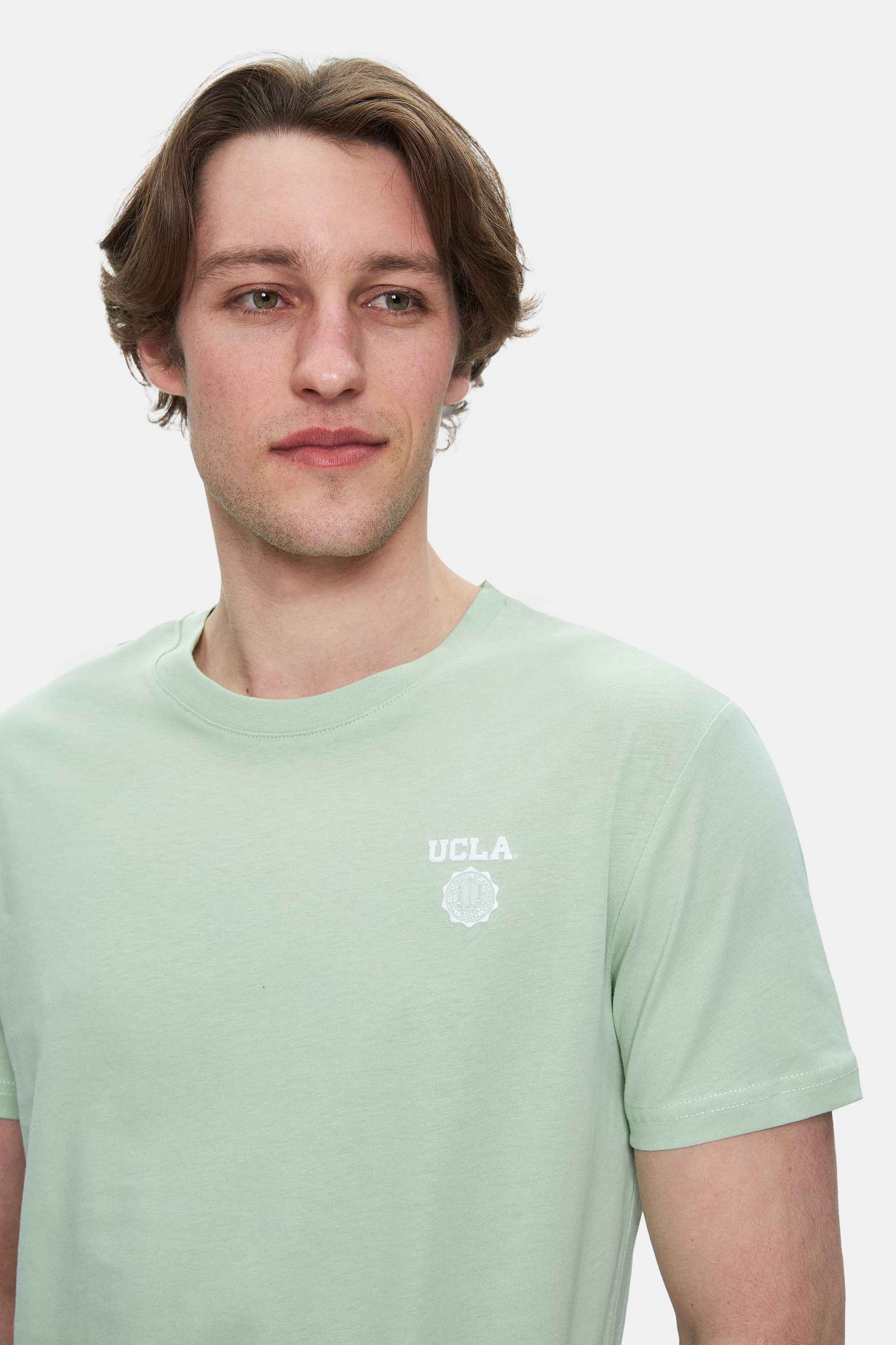 BASS Duman Yeşili Bisiklet Yaka Baskılı Standard Fit Erkek Tshirt