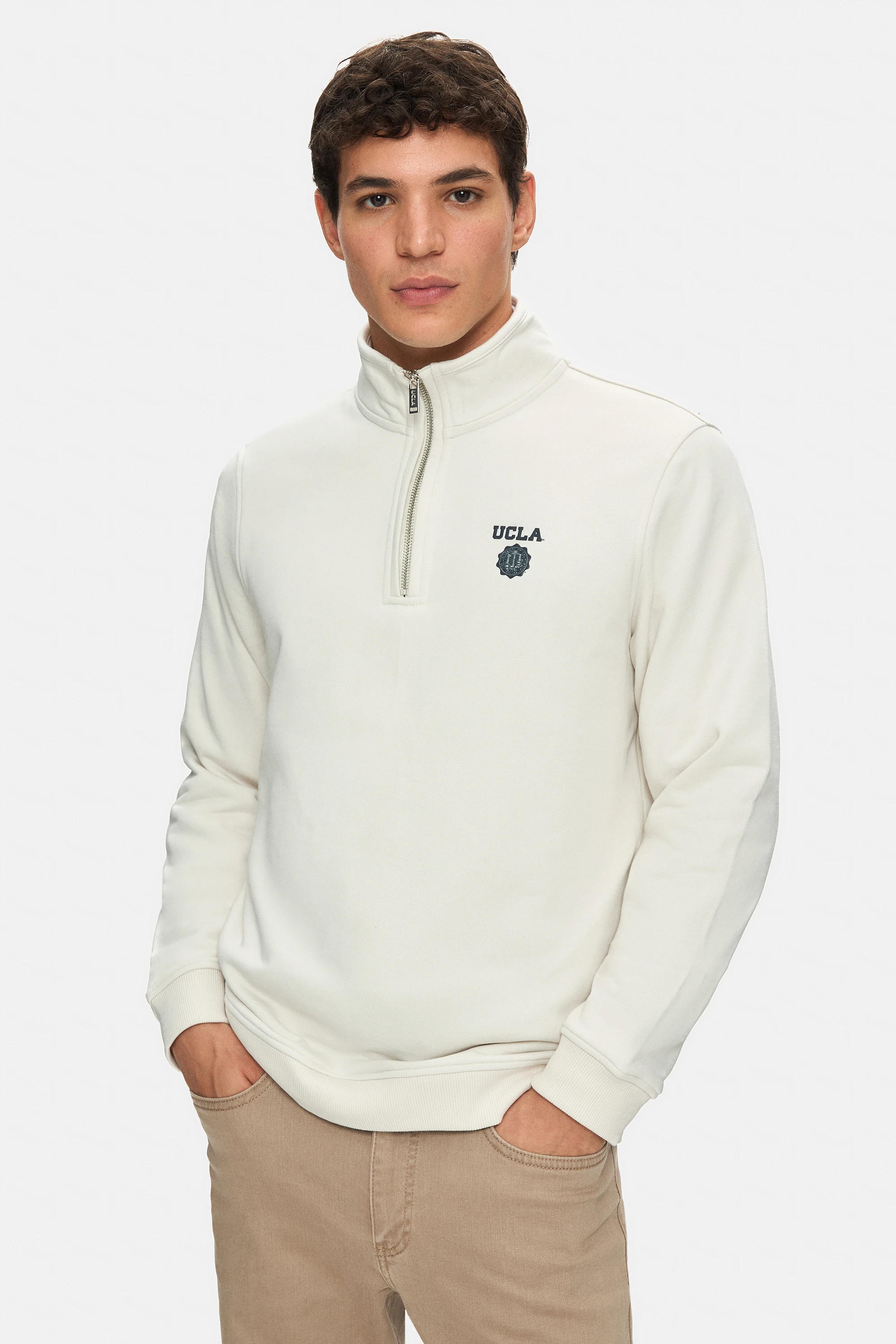 LEON Bej Yarım Fermuar Baskılı Dik Yaka Standard Fit Erkek Sweatshirt