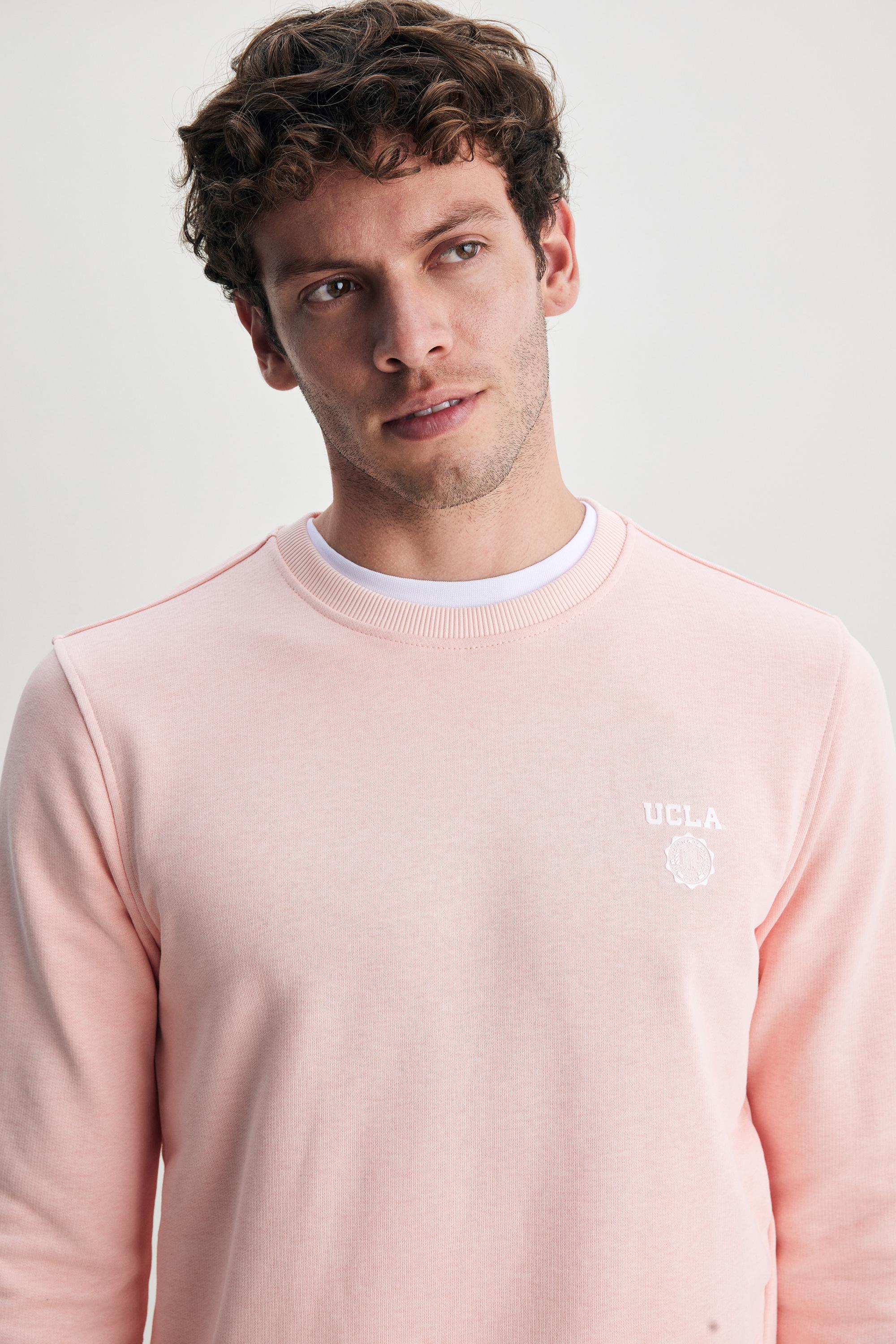 VALLEY Pembe Bisiklet Yaka Baskılı Standard Fit Erkek Sweatshirt