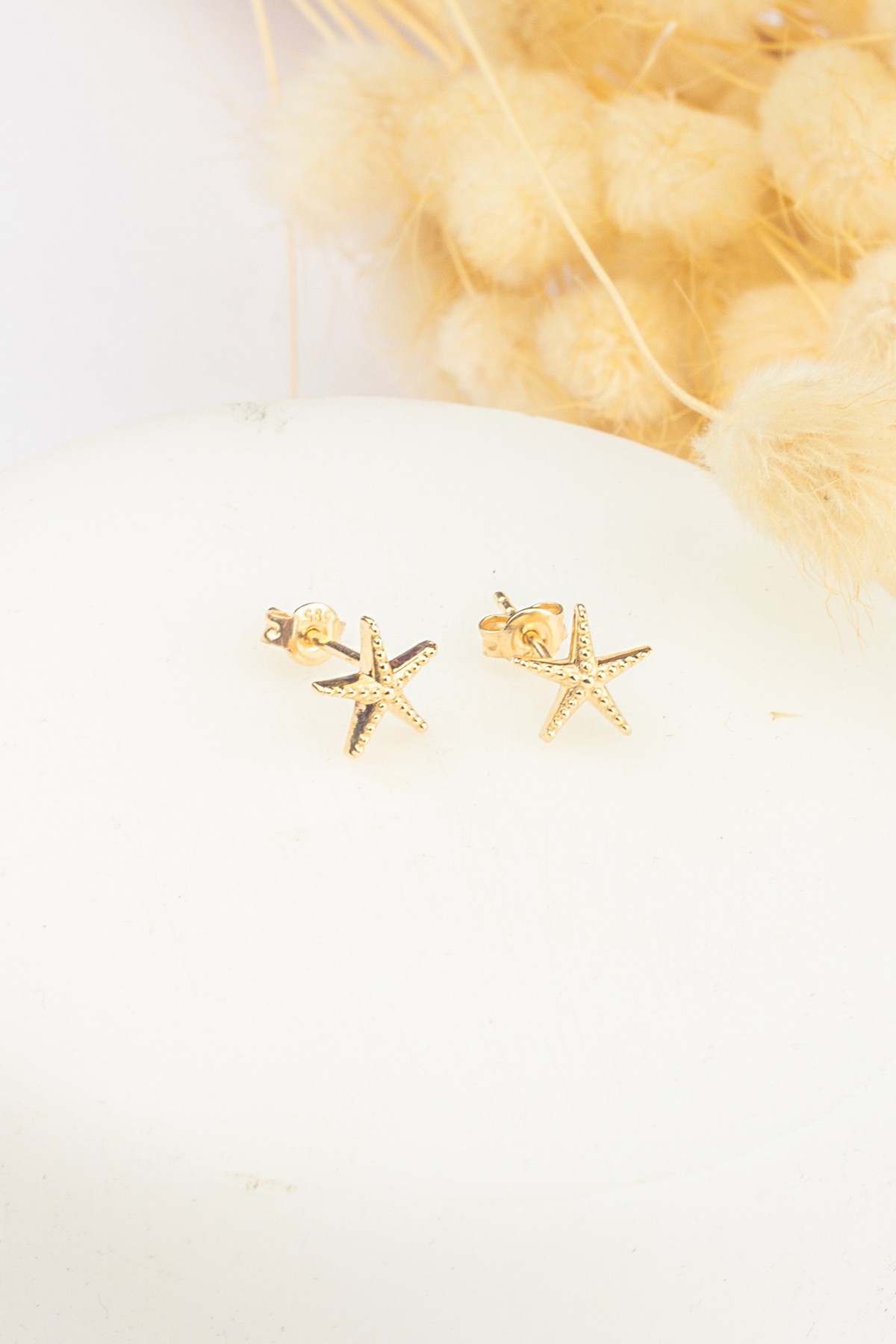 14K Star Küpe