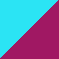 Turquoise/Fuchsia thumbnail image