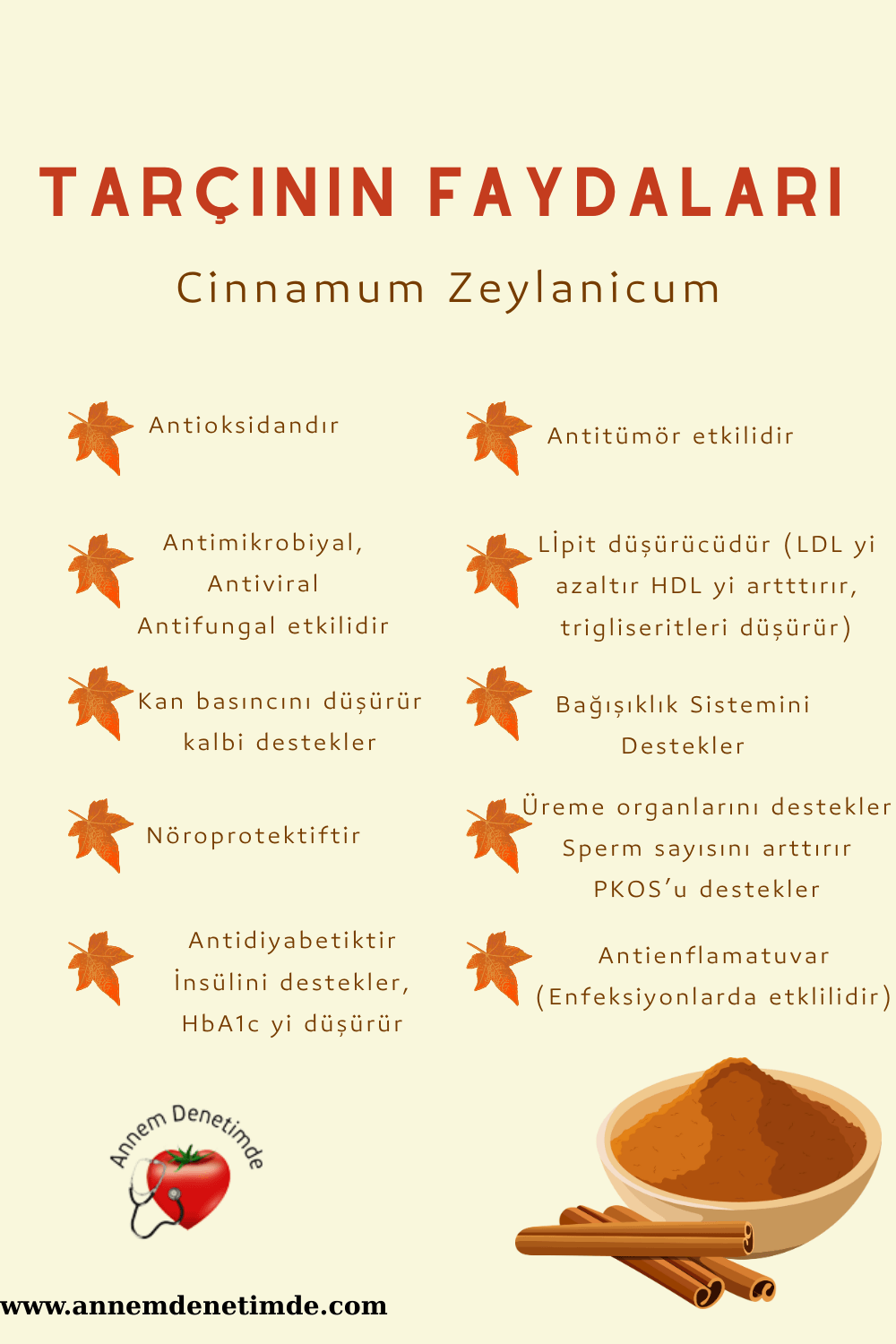 5 Lİ SEYLAN TARÇIN SETİ