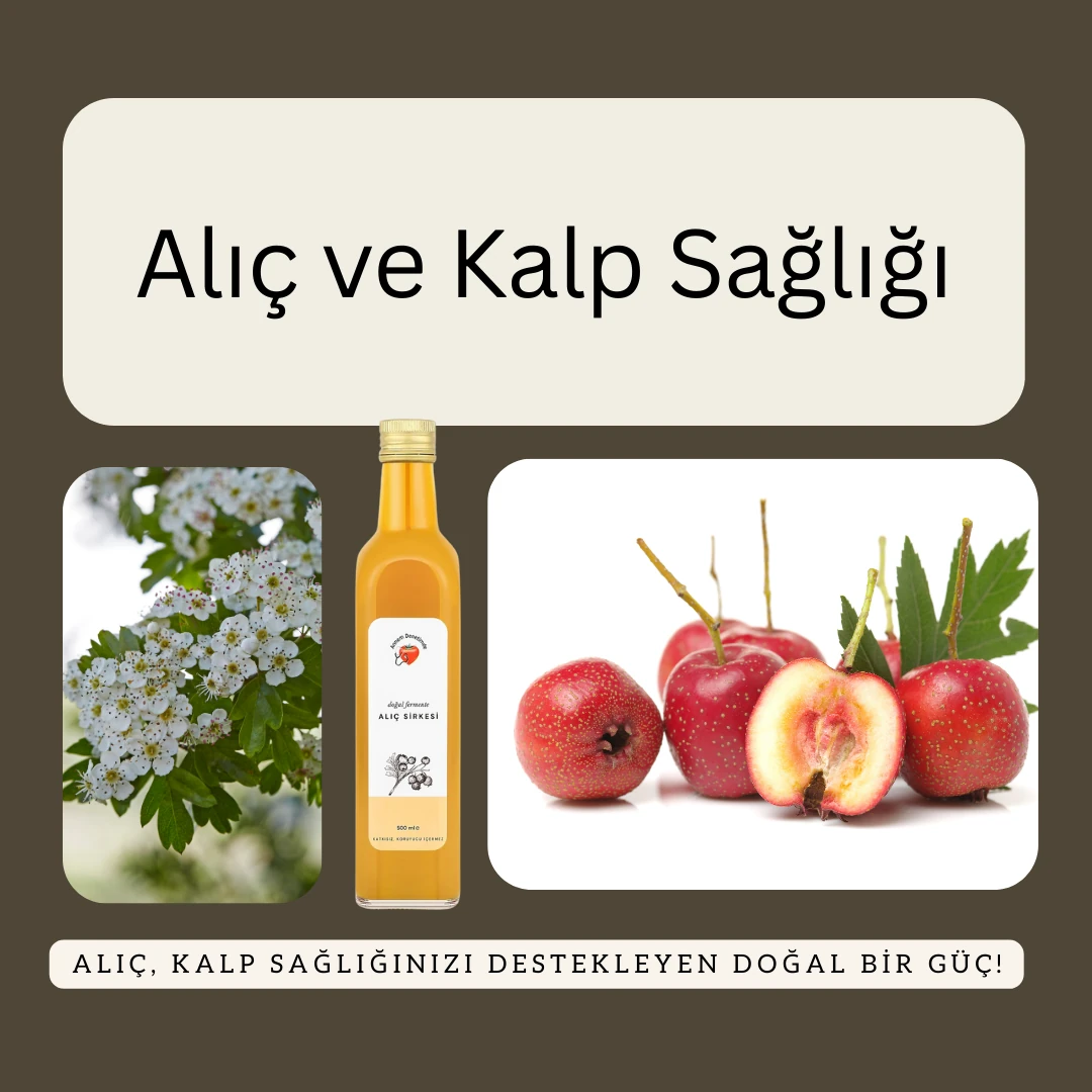 ALIÇ SİRKESİ 500 ml