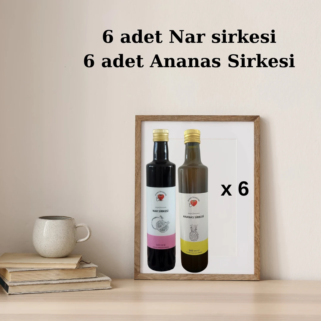 ANANAS&NAR SİRKESİ SETİ 1 KOLİ 