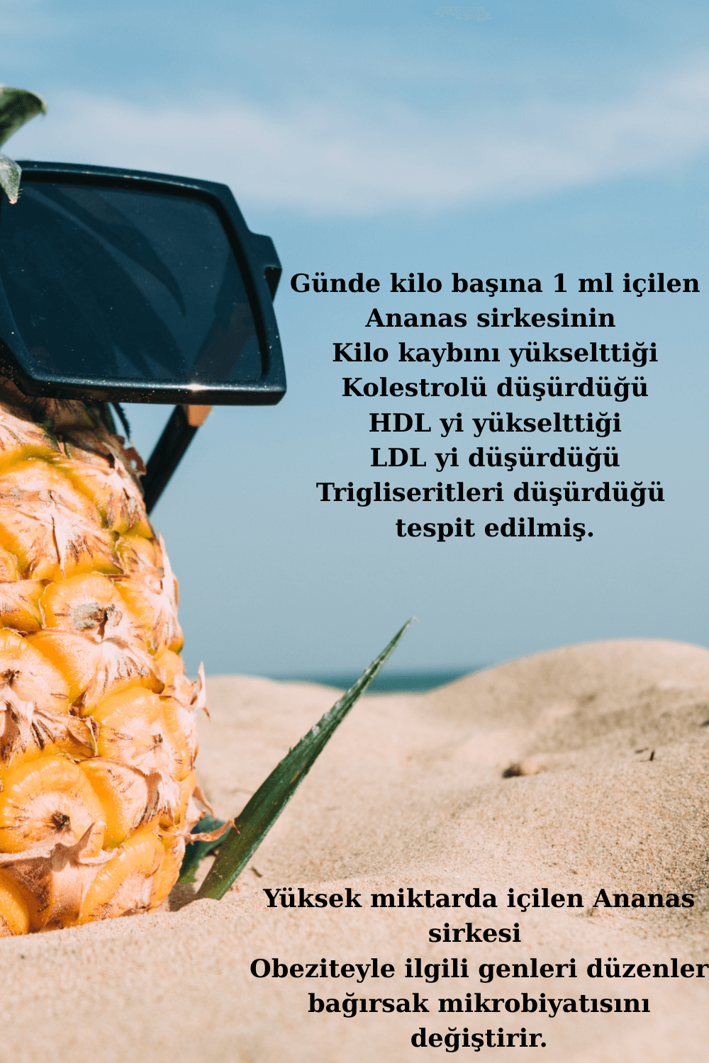 3 LÜ ANANAS SİRKESİ