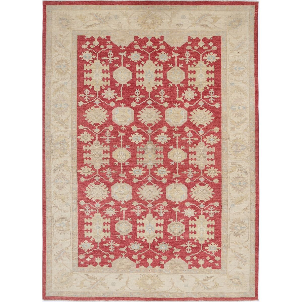 Ziegler 6x8 Handmade Double Knotted Washable Wool Rug - Colorful